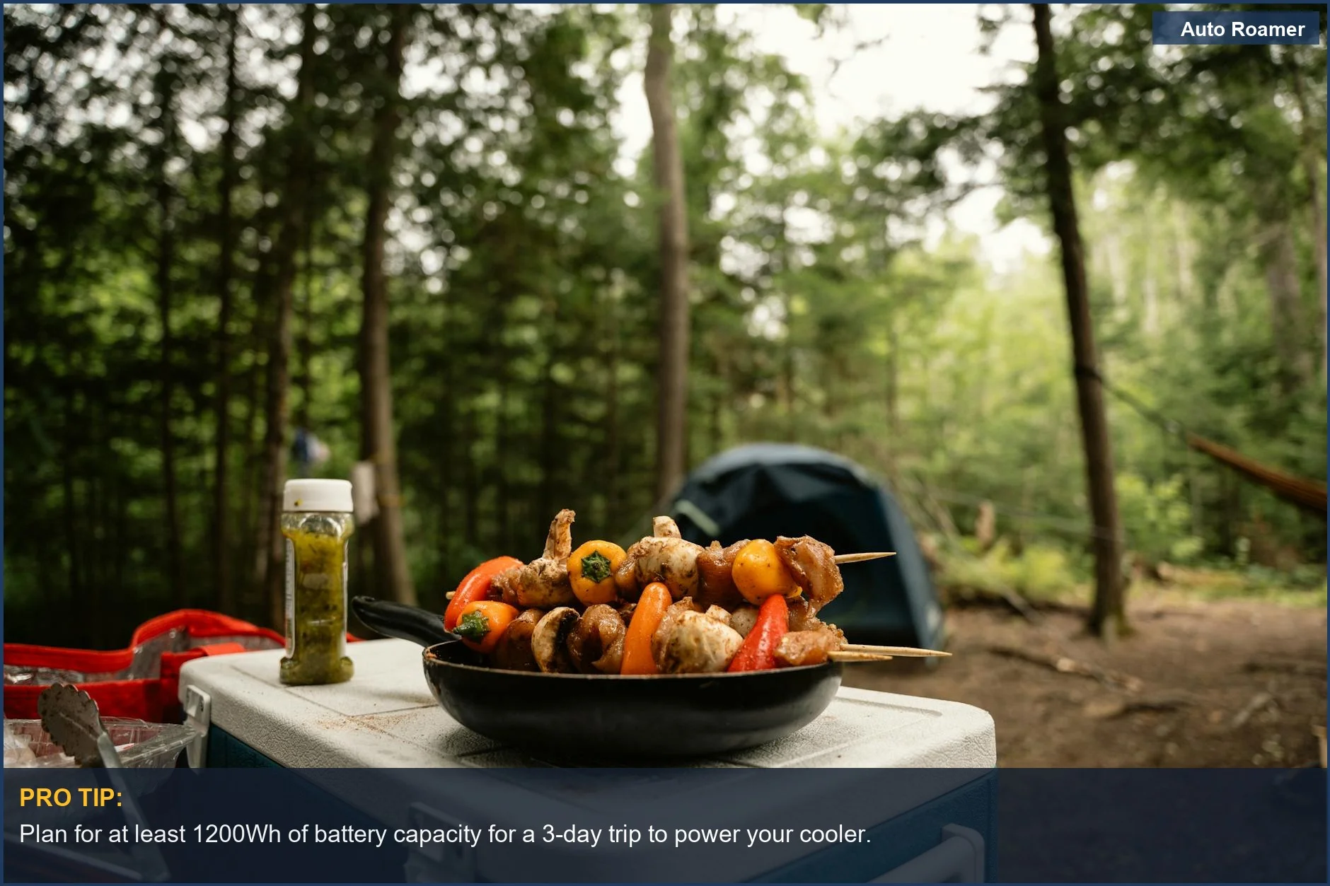 Camping scene with skewers and cooler, illustrating road trip power needs for outdoor adventures.