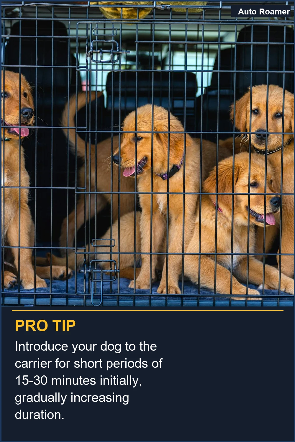 Introduce your dog to the carrier for short periods of 15-30 minutes initially, gradually increasing duration.