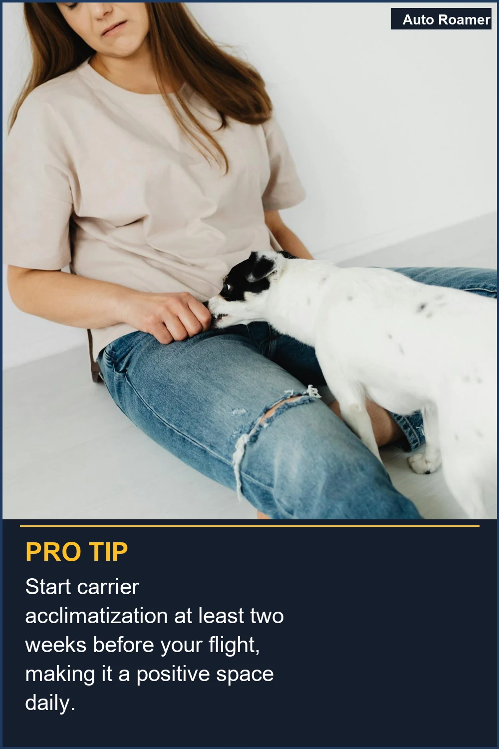 Start carrier acclimatization at least two weeks before your flight, making it a positive space daily.