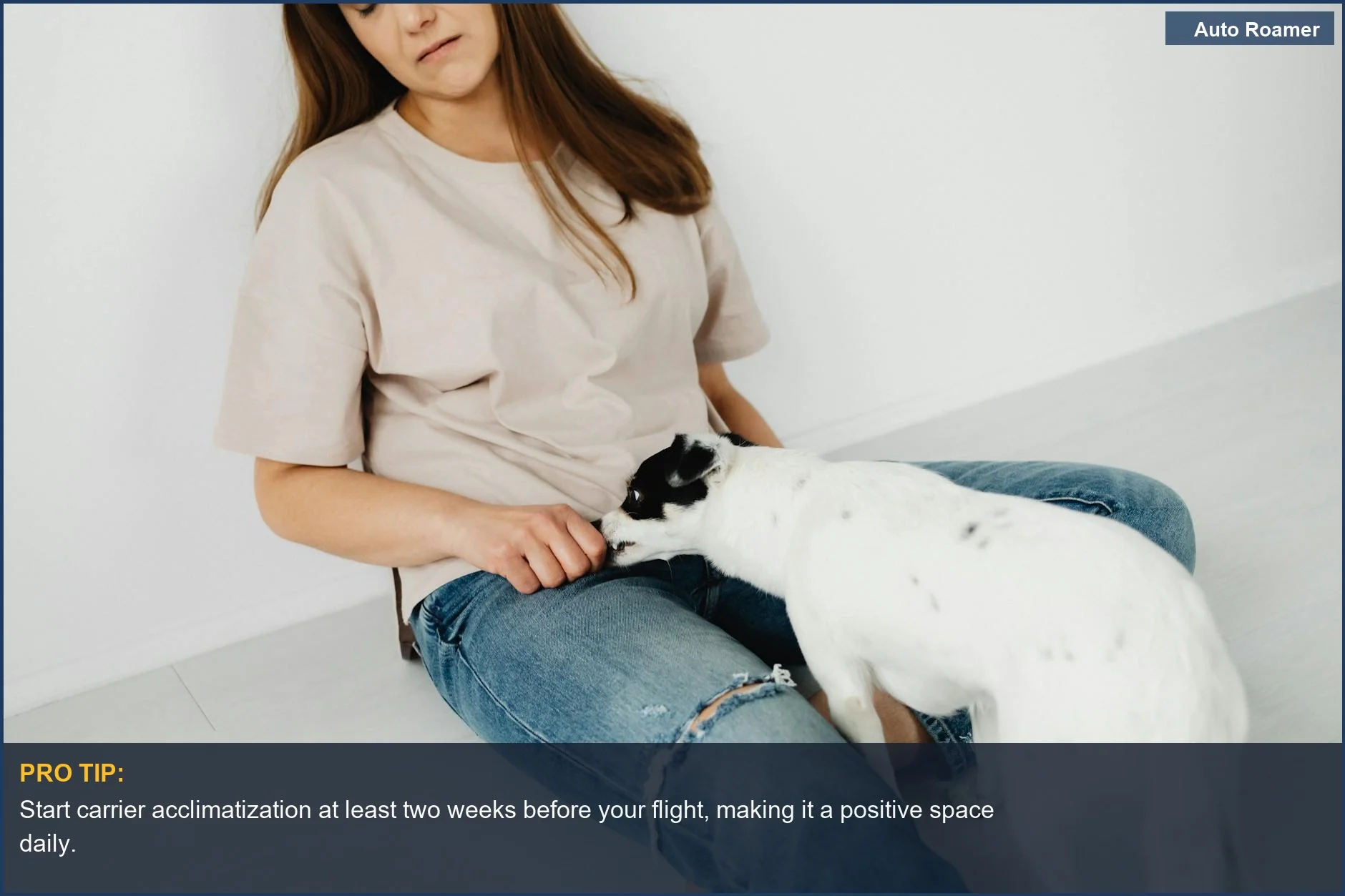 Woman peacefully acclimatizes her small dog to a travel carrier indoors, a key step in pet air travel preparation.