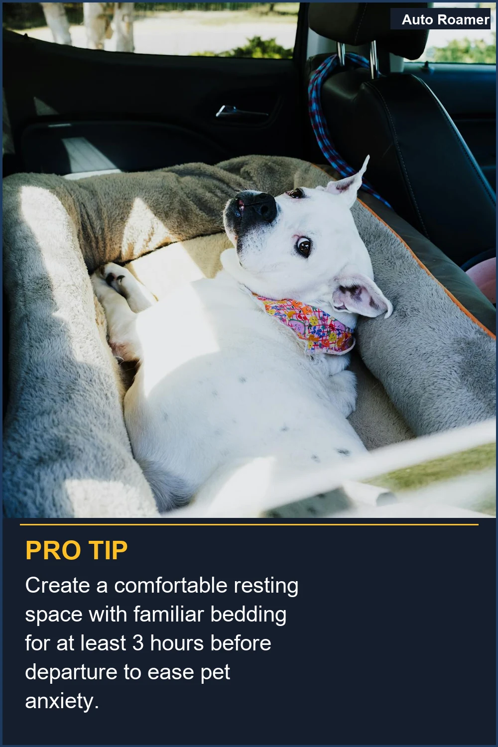 Create a comfortable resting space with familiar bedding for at least 3 hours before departure to ease pet anxiety.