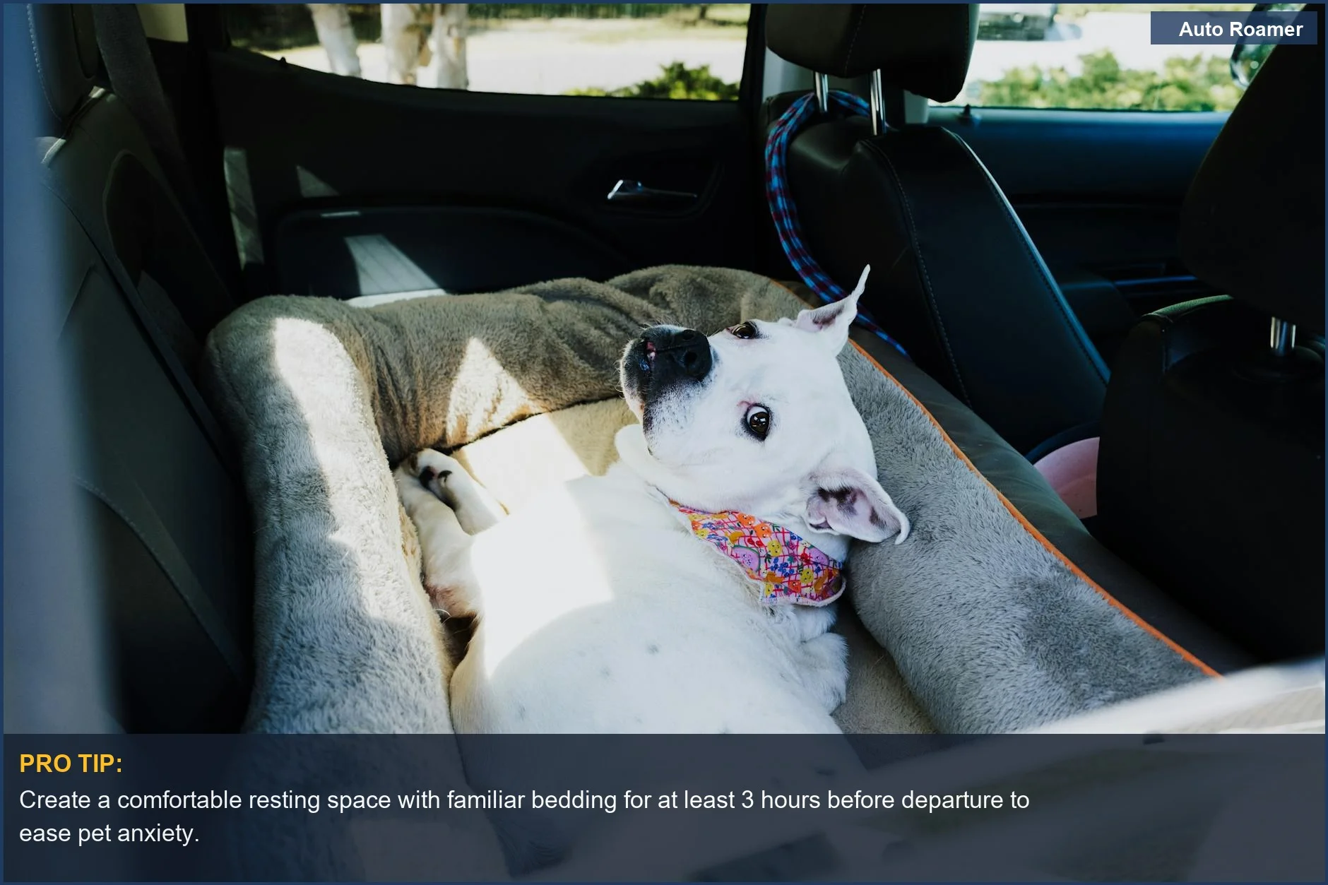 Relaxed white dog resting comfortably in a backseat bed, reducing pet anxiety on road trips.