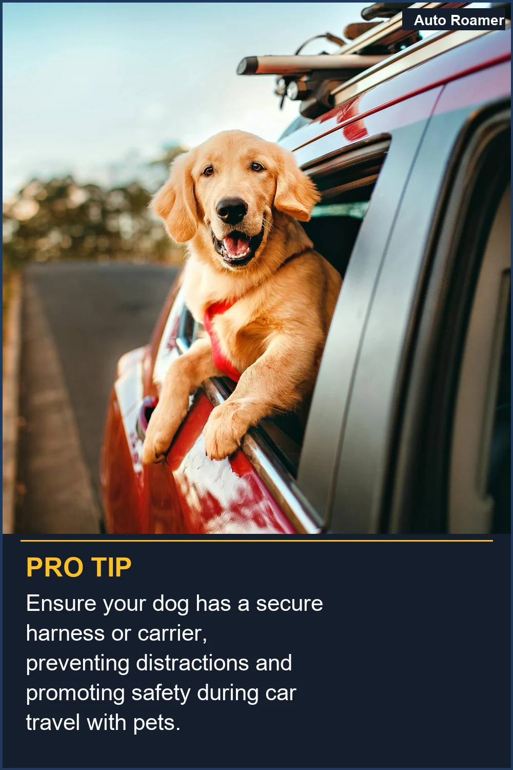 Ensure your dog has a secure harness or carrier, preventing distractions and promoting safety during car travel with pets.