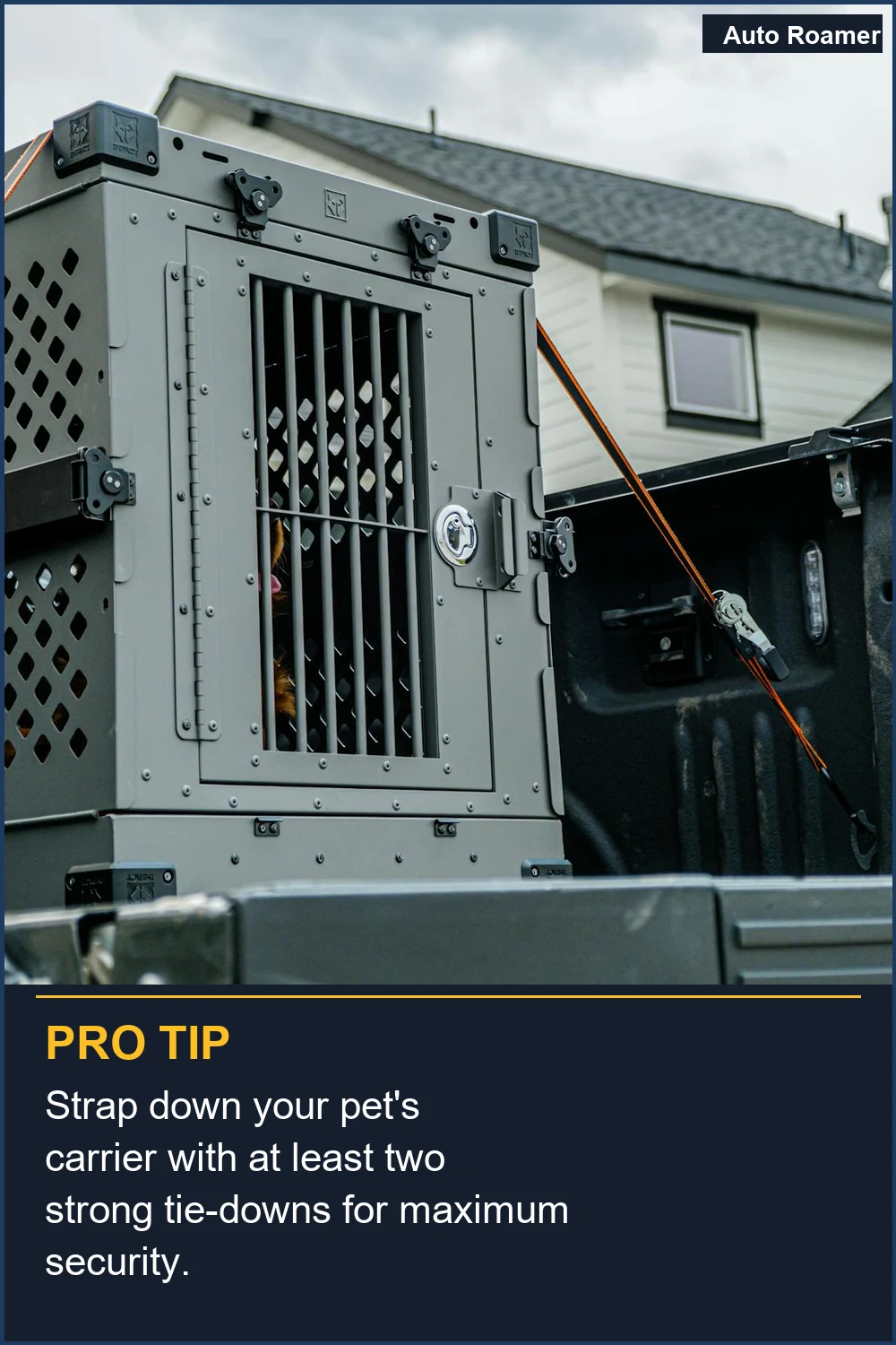 Asegura el transportín de tu mascota con al menos dos correas resistentes para máxima seguridad.