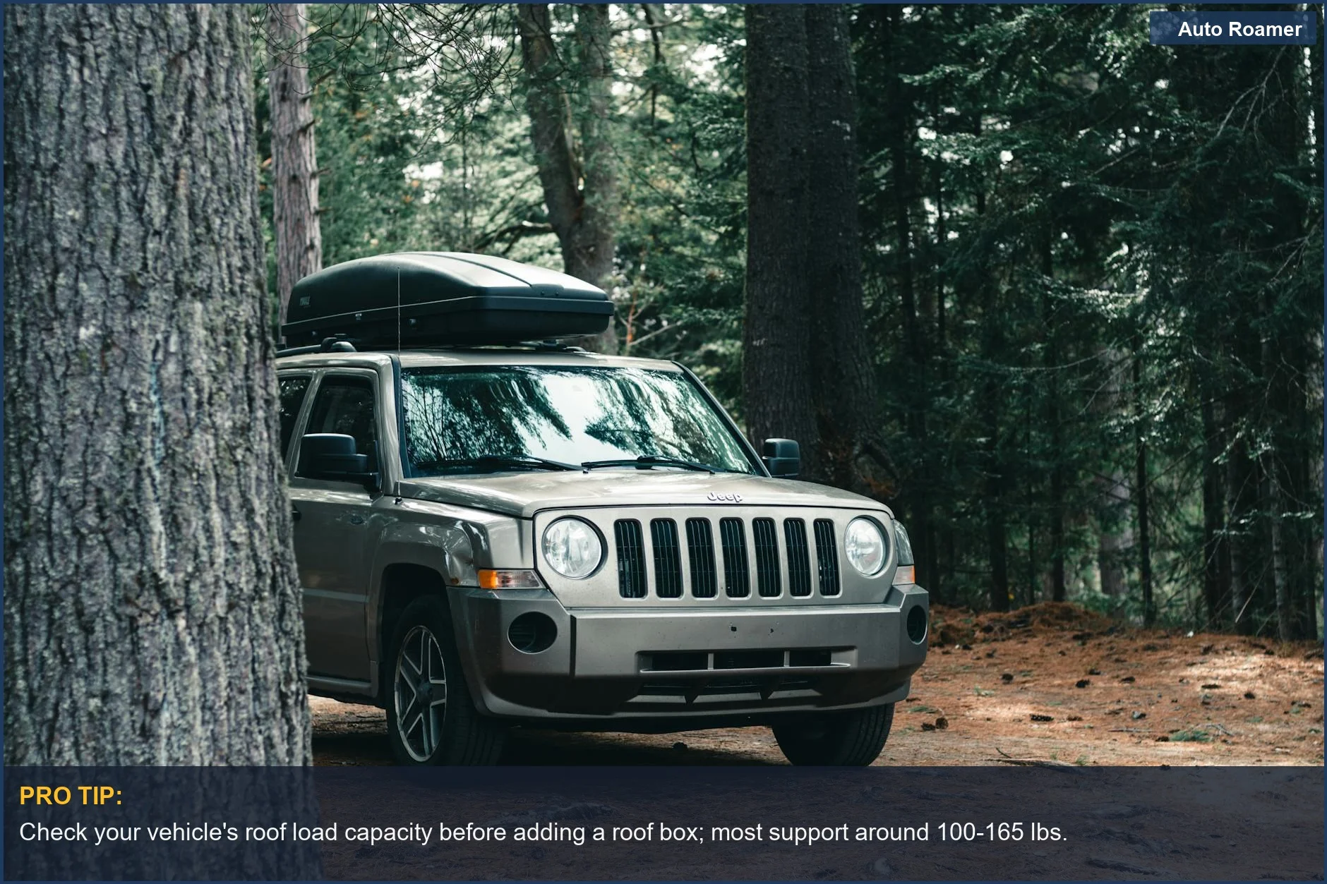 SUV with a roof box in a wooded Algonquin Park setting during fall, a great cargo carrier solution.