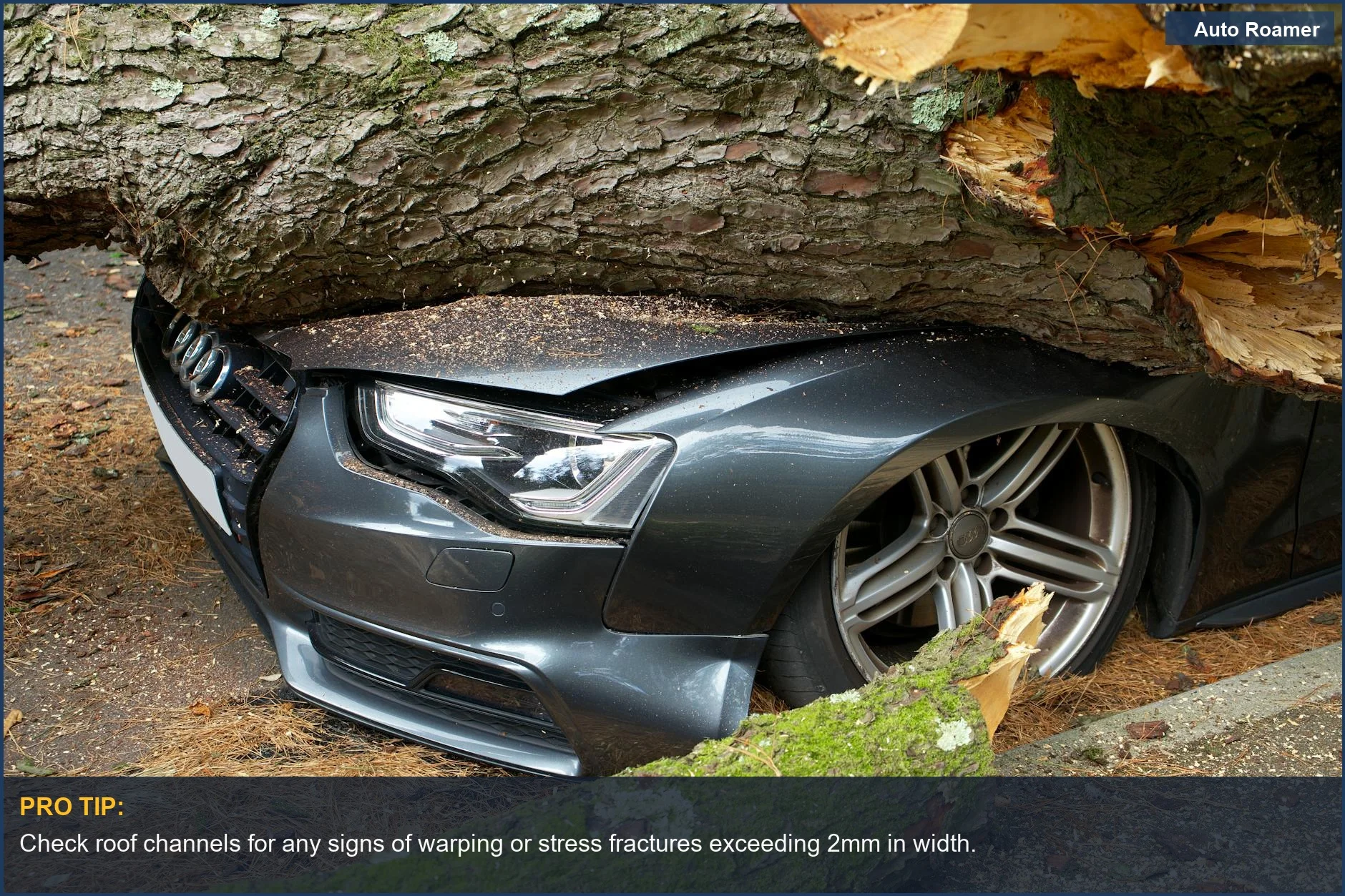 UK vehicle showing significant roof damage from a fallen tree, a stark reminder of structural integrity concerns.