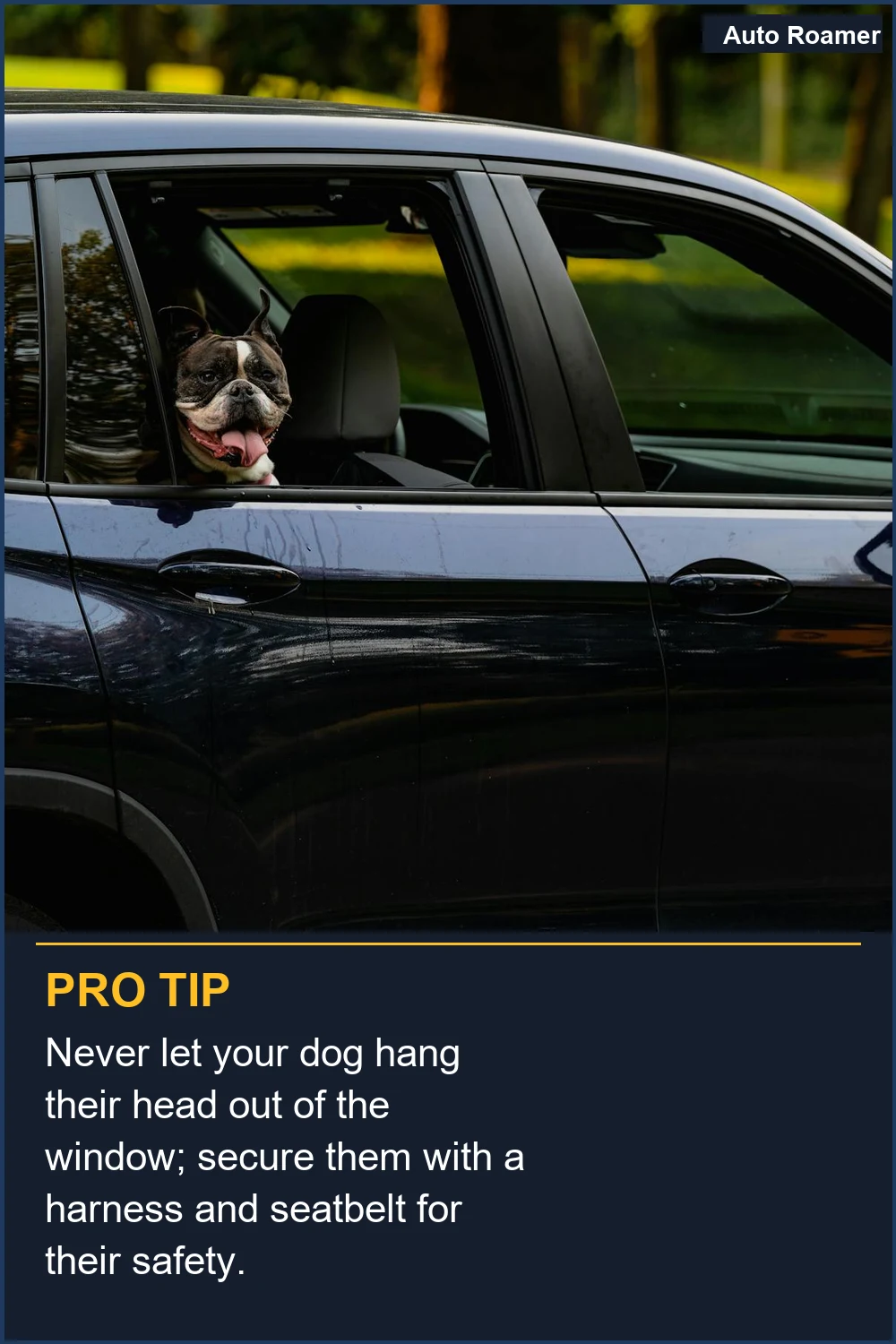 Never let your dog hang their head out of the window; secure them with a harness and seatbelt for their safety.
