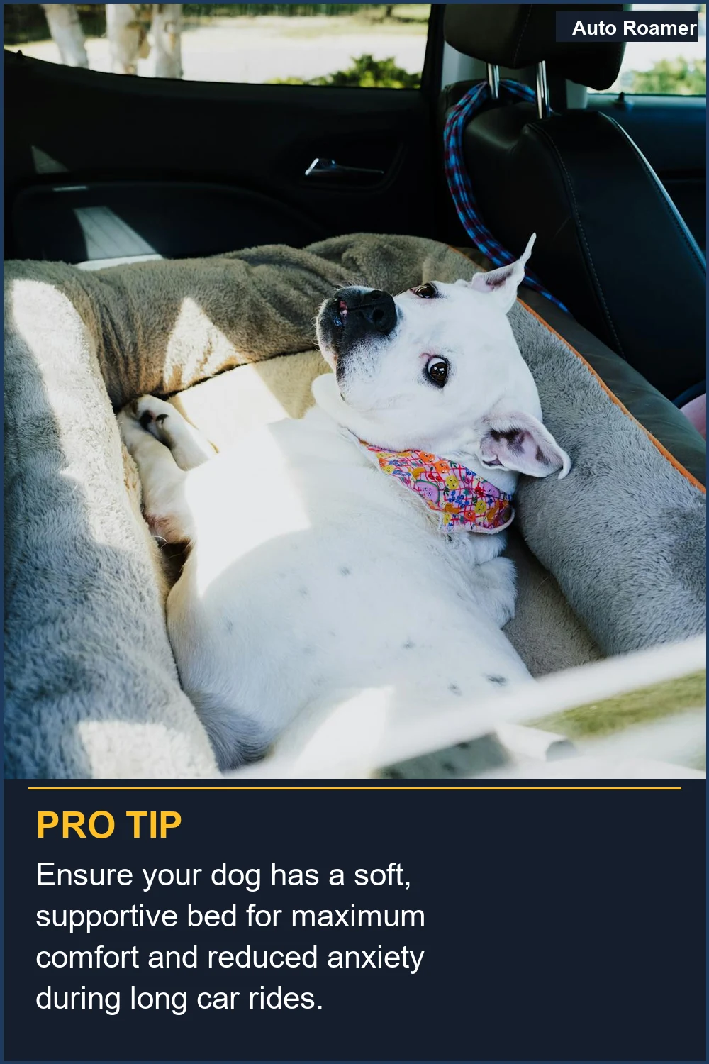 Ensure your dog has a soft, supportive bed for maximum comfort and reduced anxiety during long car rides.