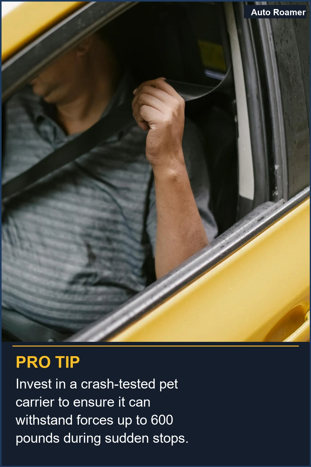 Invest in a crash-tested pet carrier to ensure it can withstand forces up to 600 pounds during sudden stops.