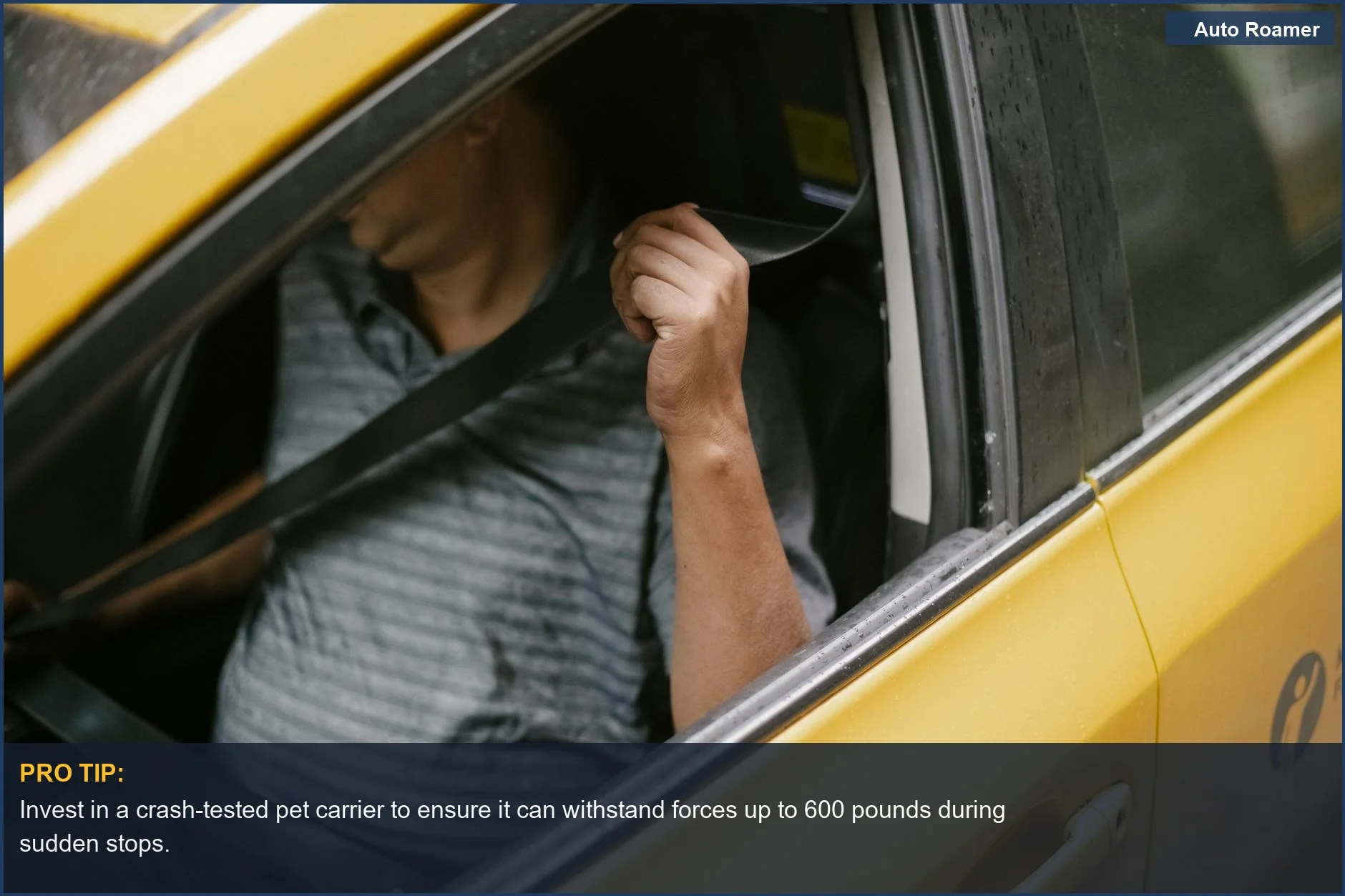 Man buckling car seatbelt, emphasizing safety for pet carrier car restraint during urban transport.
