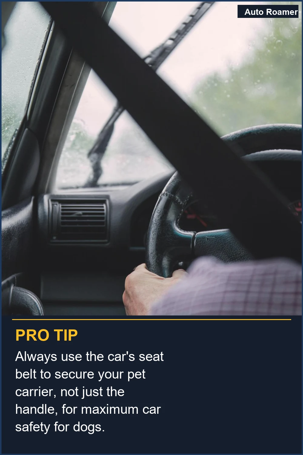 Always use the car's seat belt to secure your pet carrier, not just the handle, for maximum car safety for dogs.