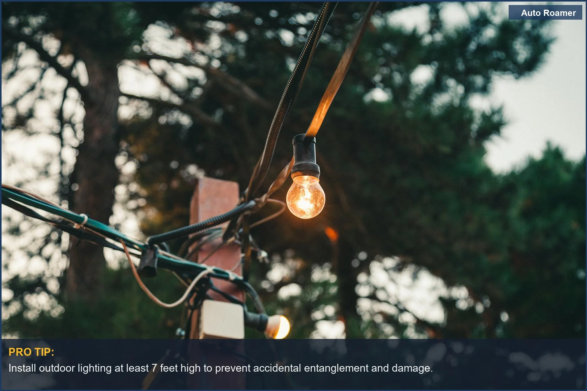 Cozy outdoor string lights create ambiance, showing electric appliance safety in nature.