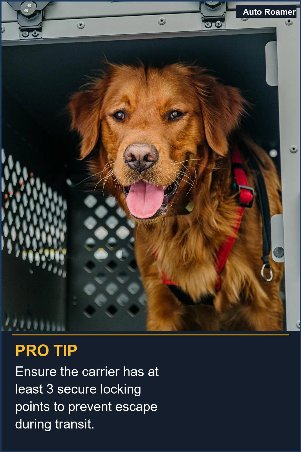 Ensure the carrier has at least 3 secure locking points to prevent escape during transit.