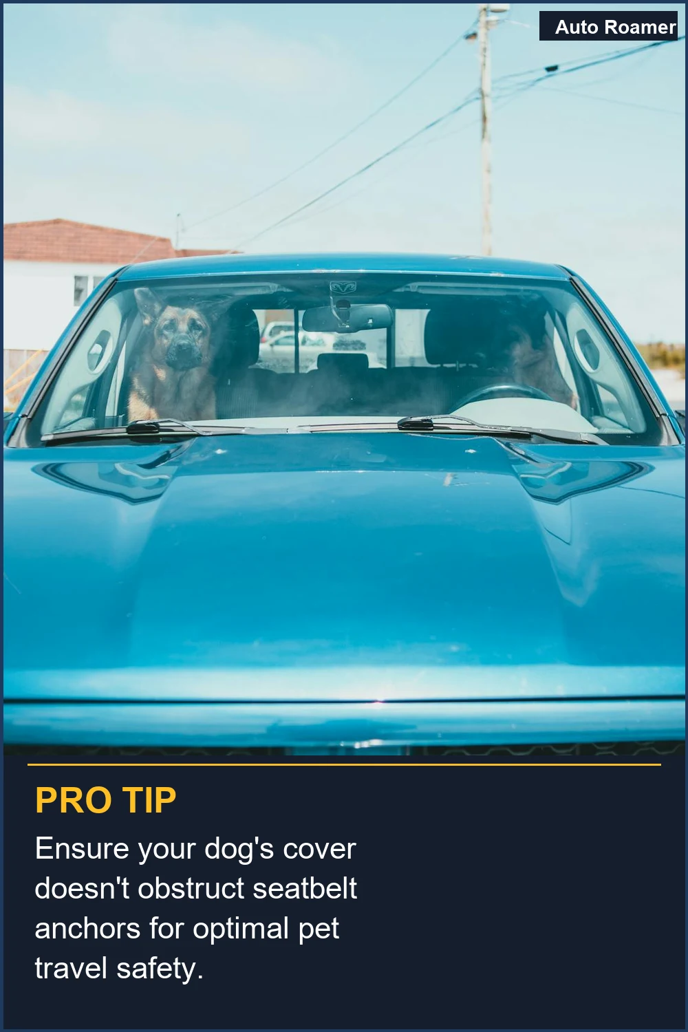 Ensure your dog's cover doesn't obstruct seatbelt anchors for optimal pet travel safety.