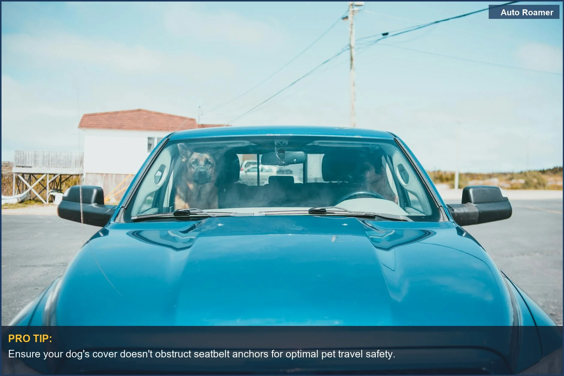 Golden retriever in a blue car, demonstrating the need for dog safety with seat covers on camping trips.