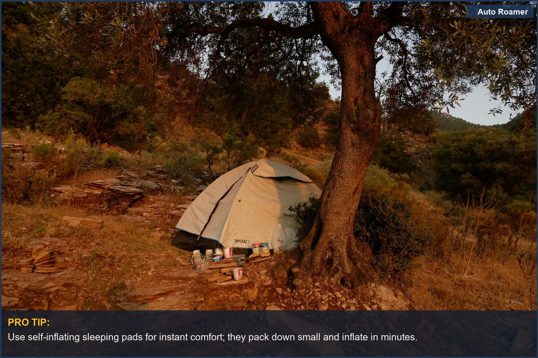 Pitched tent under a large tree, showcasing a simple setup for car camping beginners.