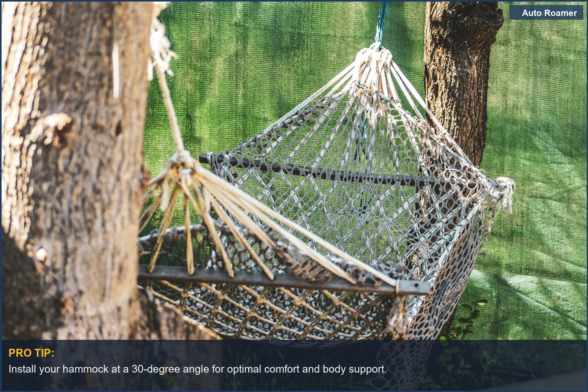 Relaxing hammock strung between trees in a sunny forest, highlighting hammock sleeping comfort.