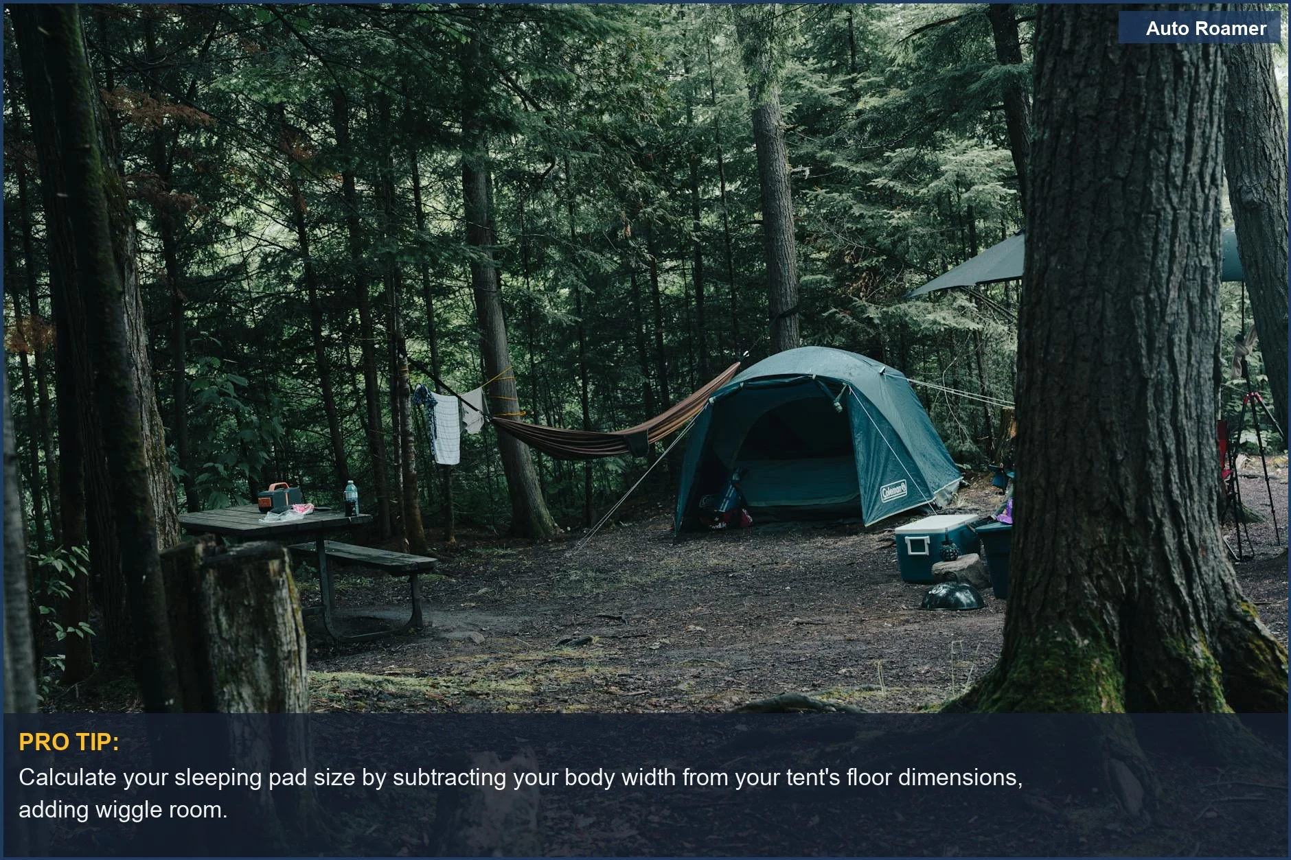 Tranquil forest camping scene with a tent and hammock, emphasizing sleeping pad size for comfort.