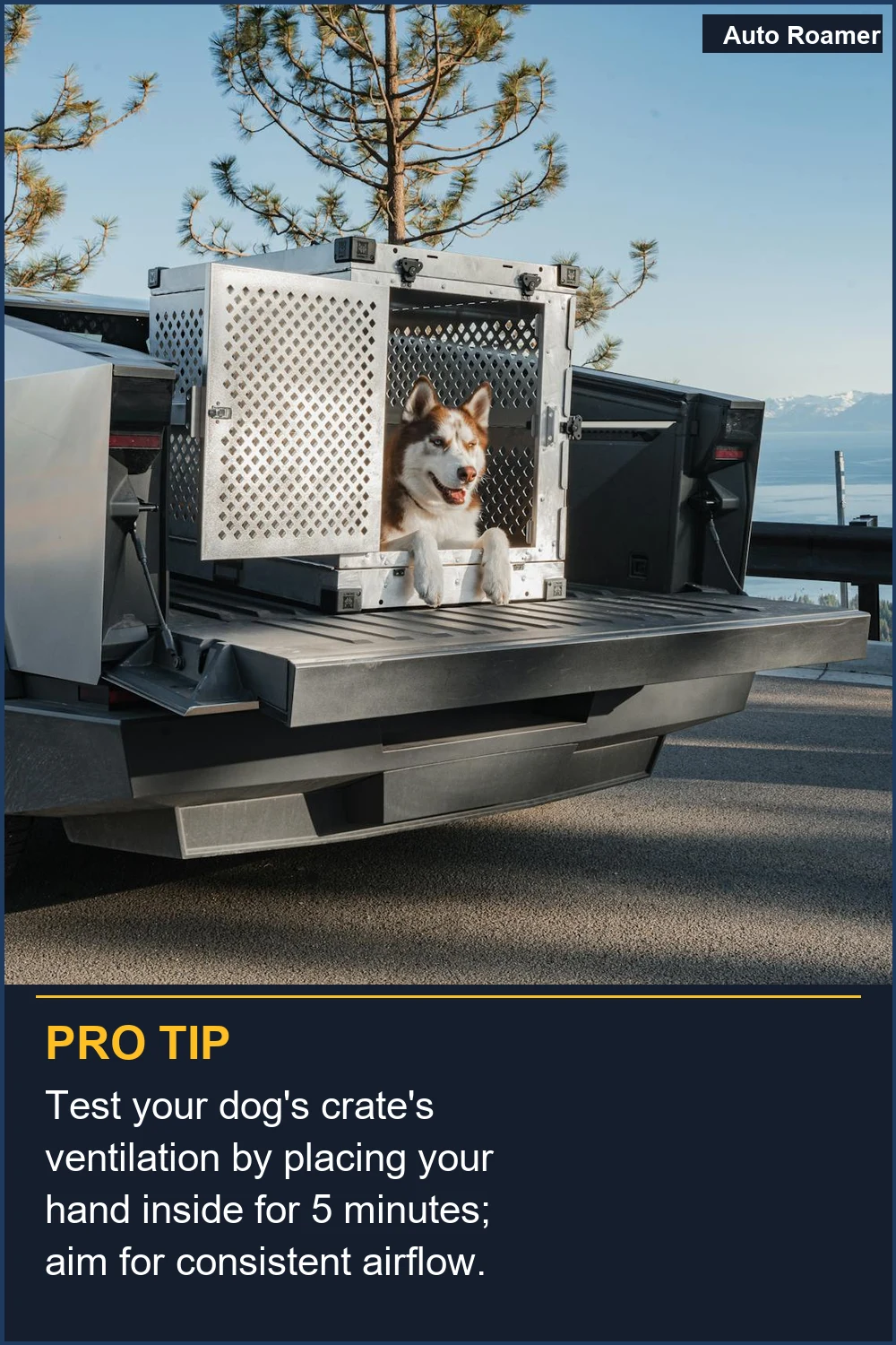 Test your dog's crate's ventilation by placing your hand inside for 5 minutes; aim for consistent airflow.