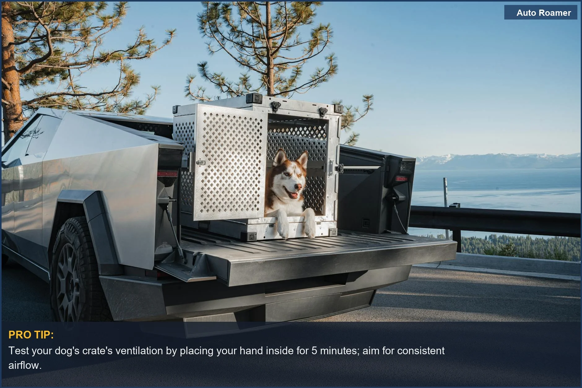 Dog and premium crate in a Tesla Cybertruck against a scenic backdrop, emphasizing dog crate material comparison.