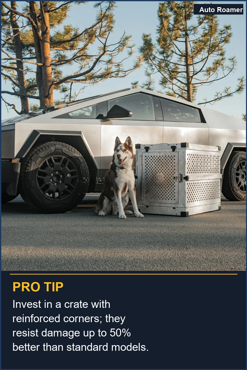 Invest in a crate with reinforced corners; they resist damage up to 50% better than standard models.