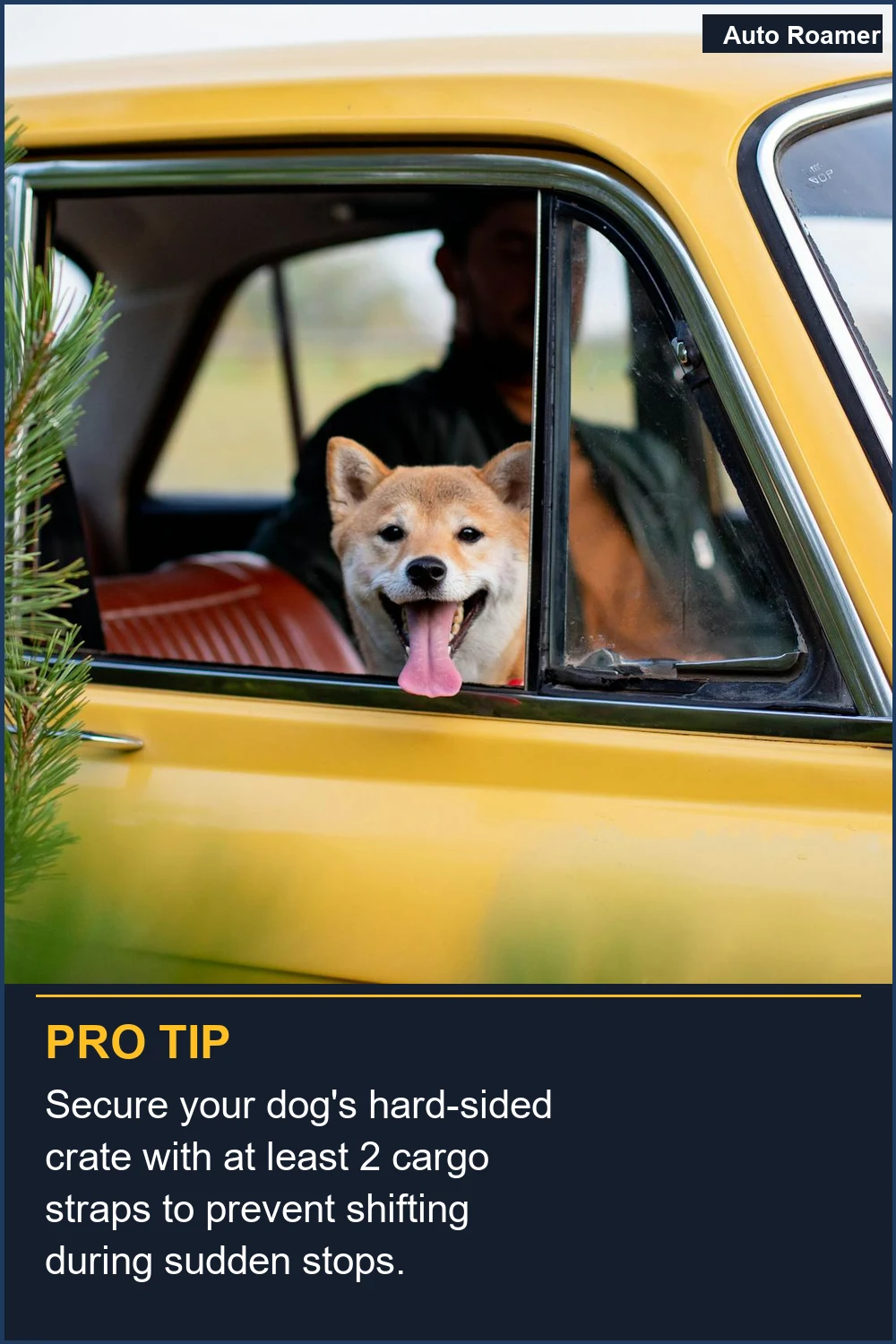 Secure your dog's hard-sided crate with at least 2 cargo straps to prevent shifting during sudden stops.