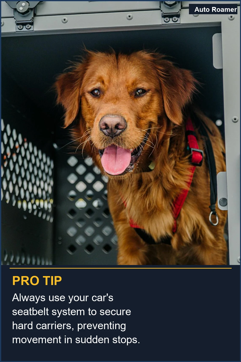 Always use your car's seatbelt system to secure hard carriers, preventing movement in sudden stops.