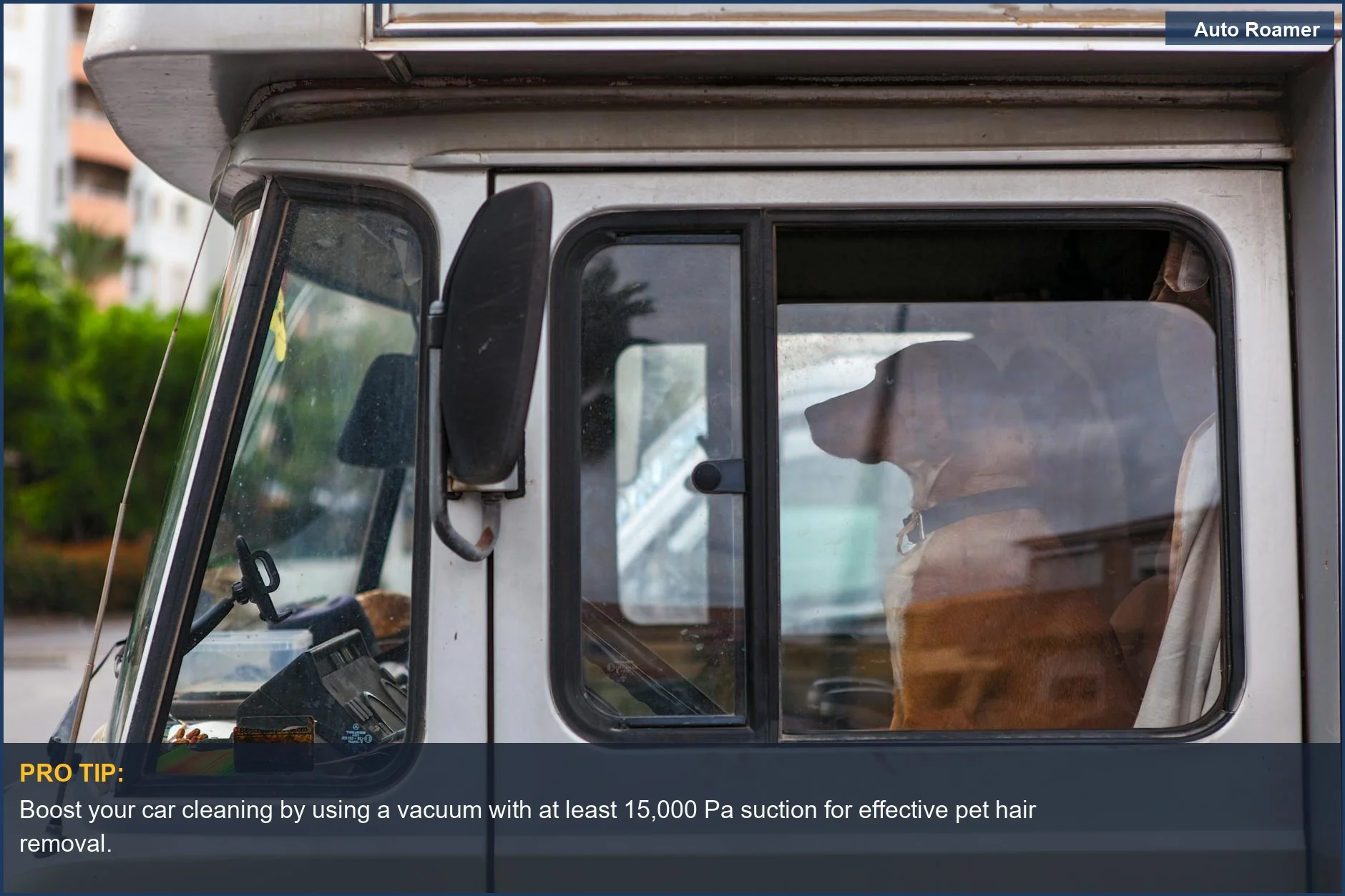 Dog sitting in car passenger seat, highlighting the need for strong car vacuum suction power for pet hair.