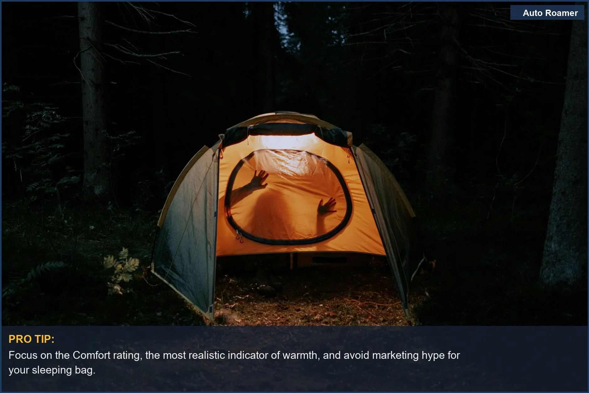 Silhouette inside an illuminated tent in a dark forest, suggesting the need for a proper car camping sleeping bag.