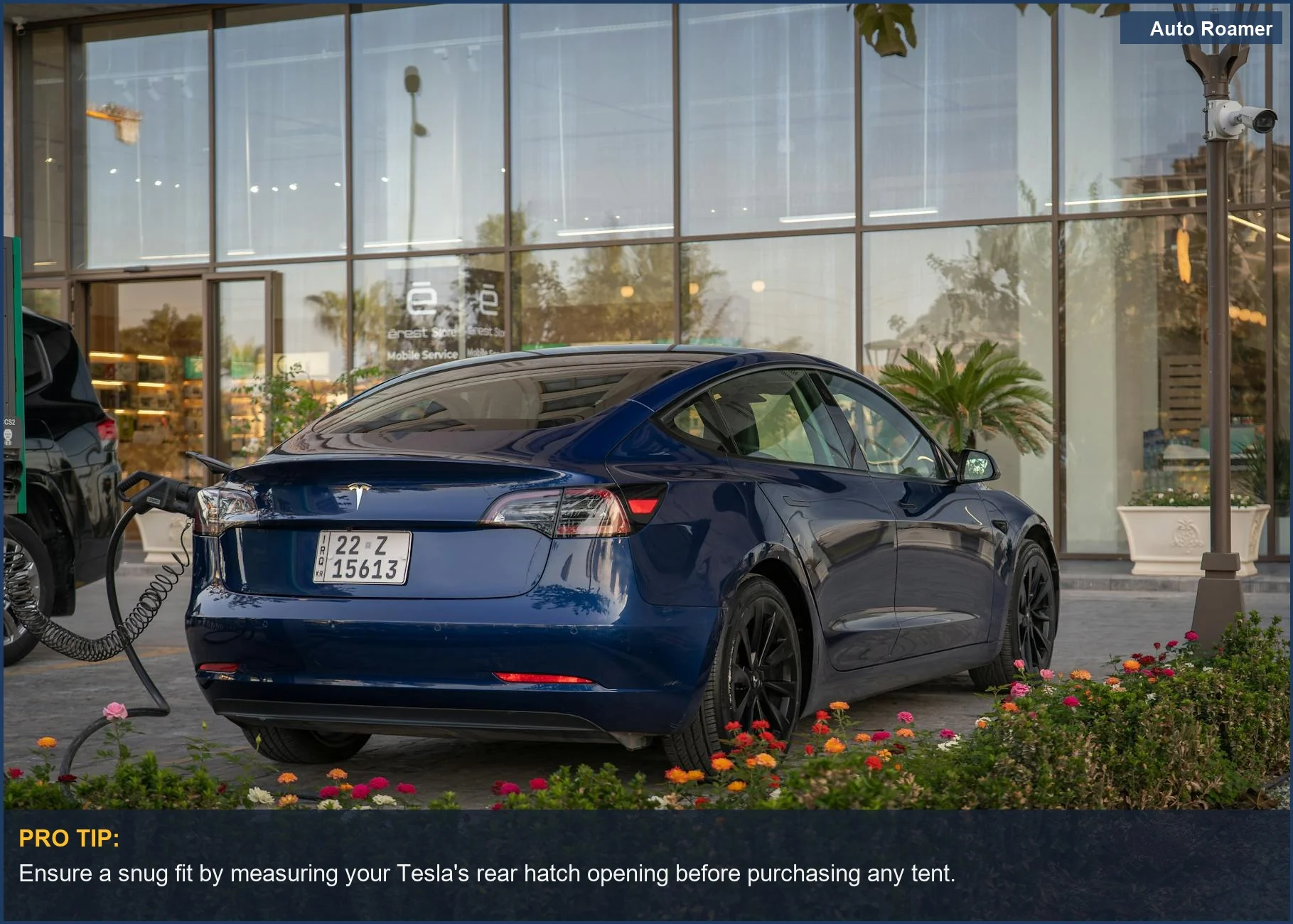 Blue Tesla Model 3 charging amid flowers, illustrating the sustainable energy for your electric vehicle camping experience.