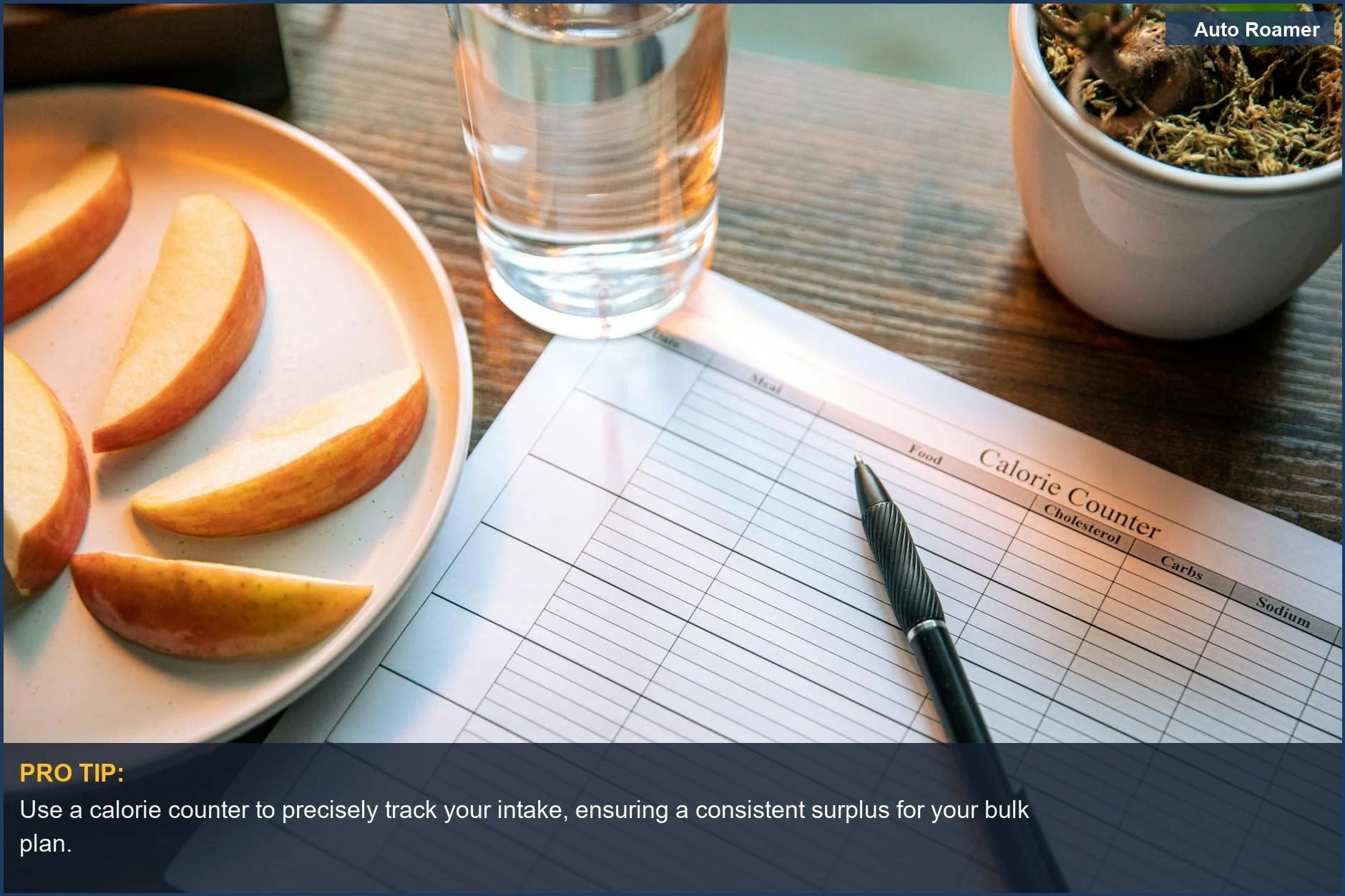 Plan your test bulk plan with apple slices, a calorie chart, and water for a healthy lifestyle.