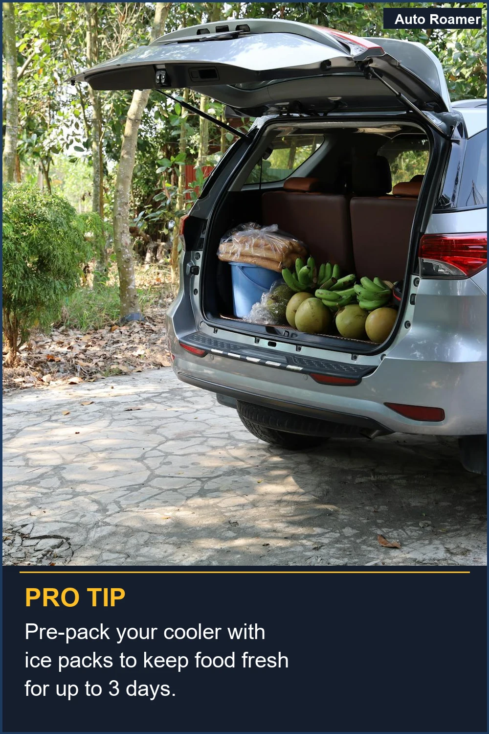 Pre-pack your cooler with ice packs to keep food fresh for up to 3 days.