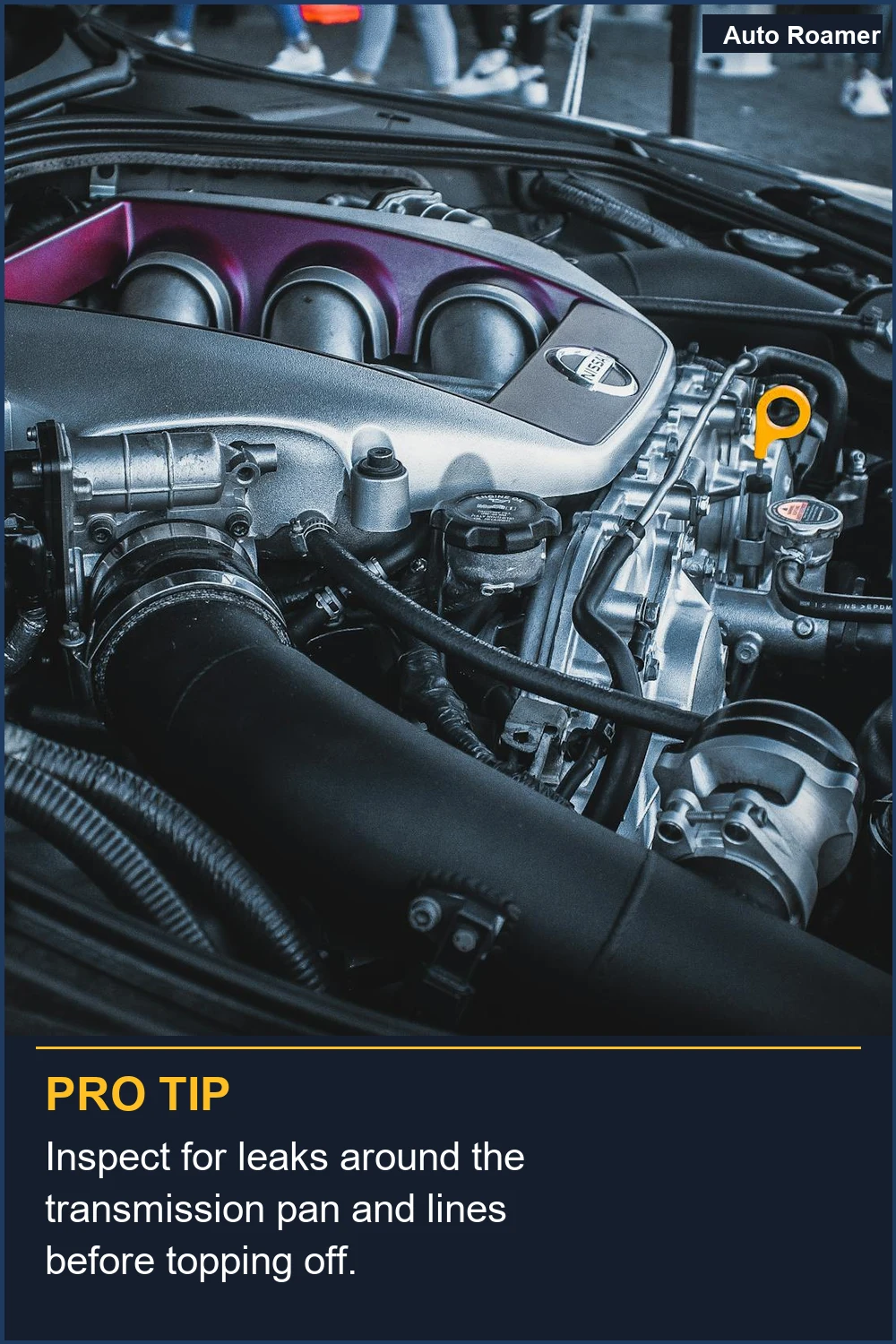 Inspect for leaks around the transmission pan and lines before topping off.