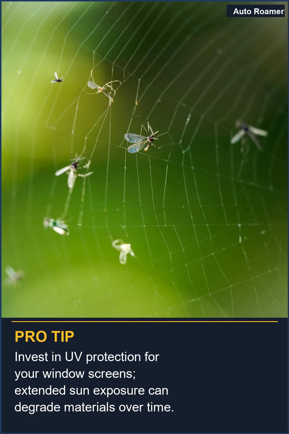 Invest in UV protection for your window screens; extended sun exposure can degrade materials over time.