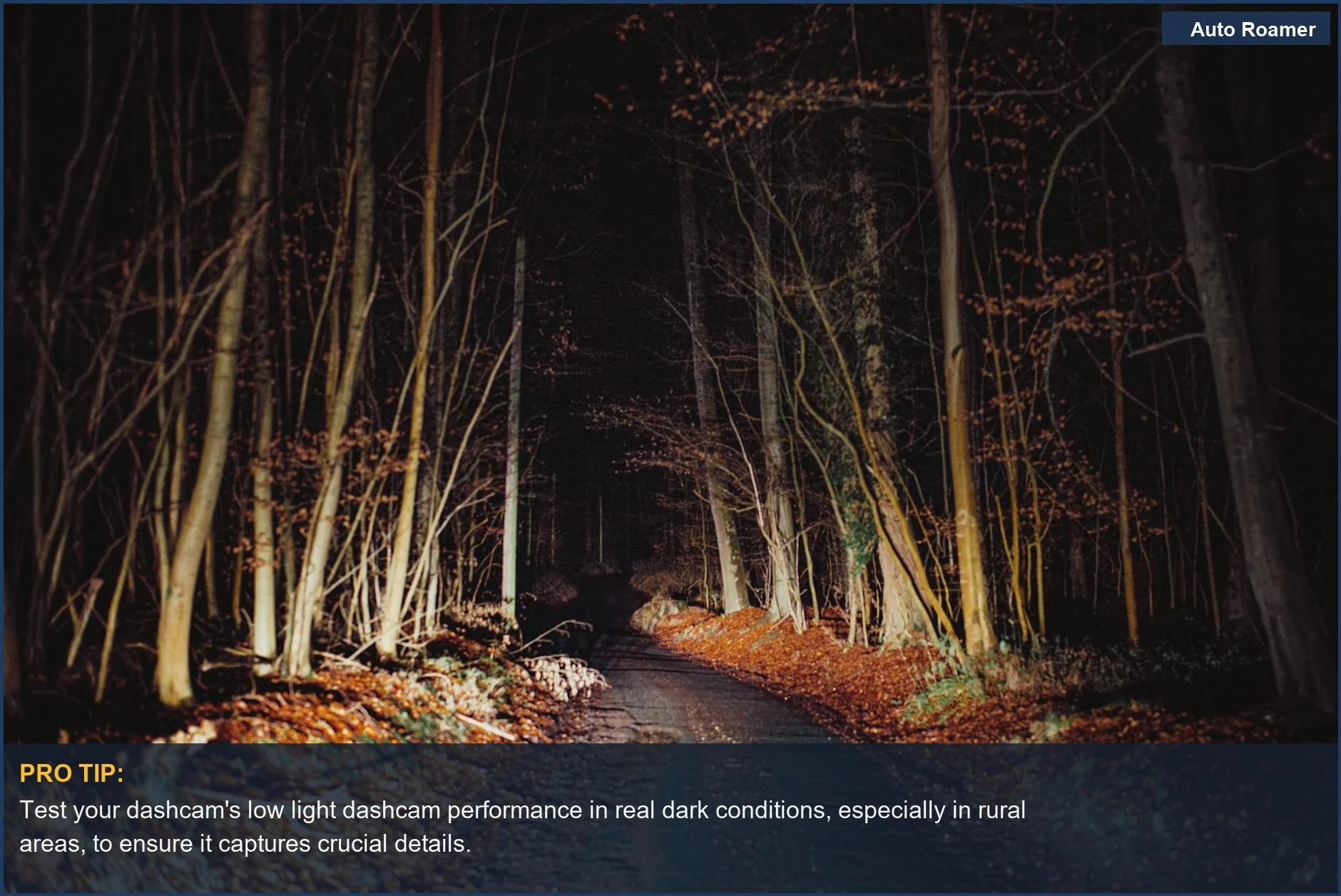 Headlights glow on a spooky forest road at night, highlighting the importance of a dashcam with good night vision technology.