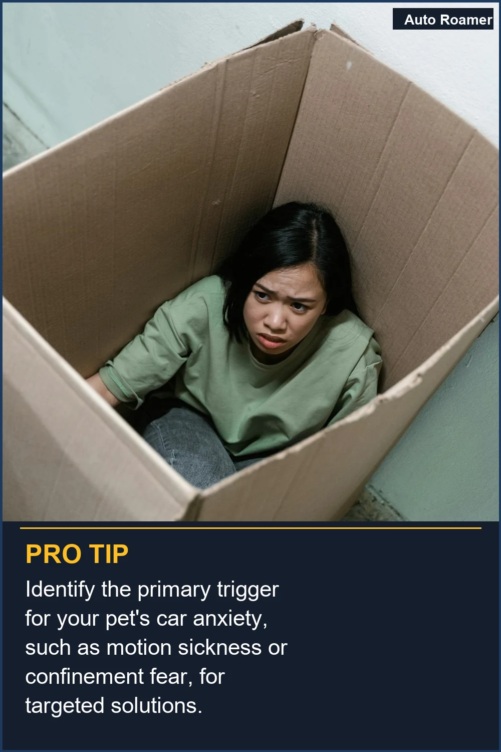 Identify the primary trigger for your pet's car anxiety, such as motion sickness or confinement fear, for targeted solutions.