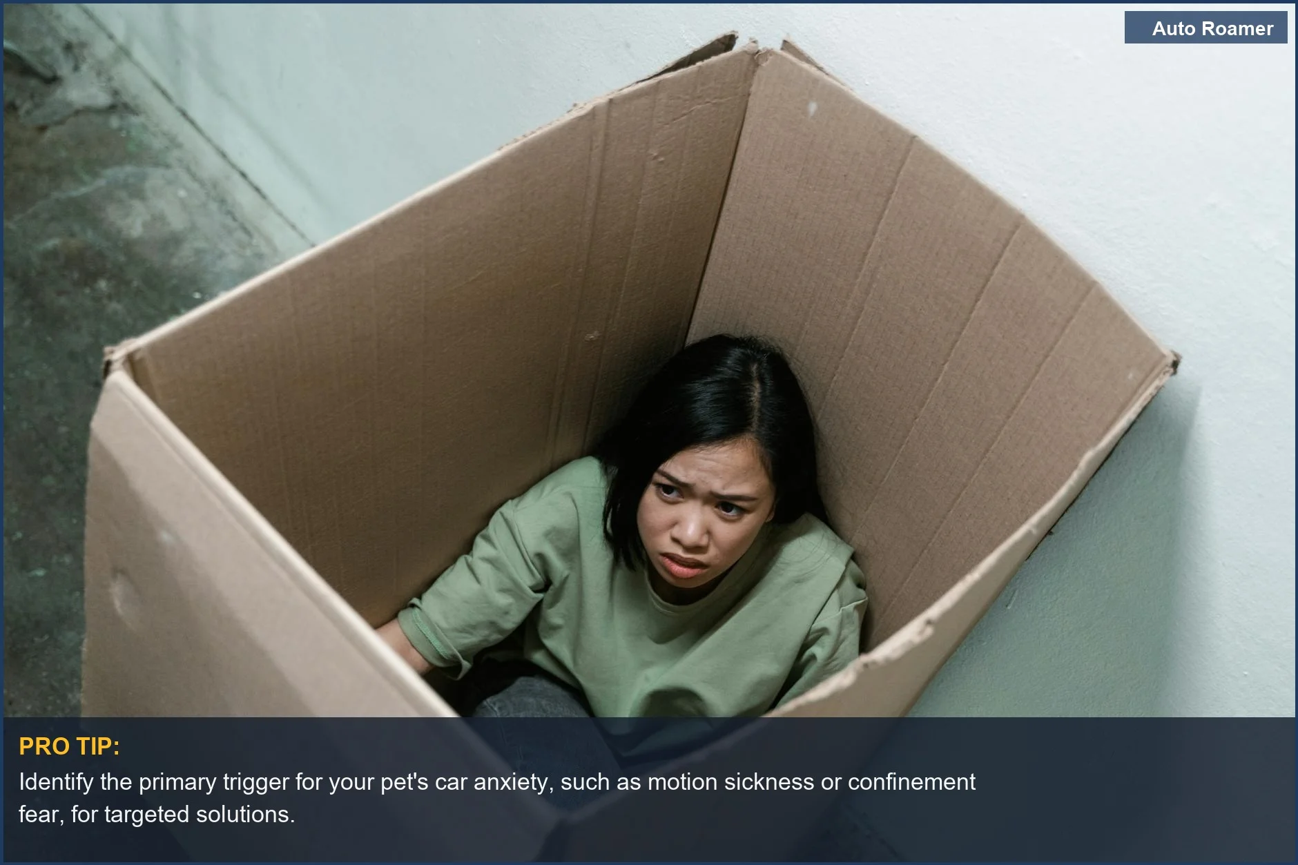 Woman in a box, illustrating the intense feelings of pet anxiety during car travel.