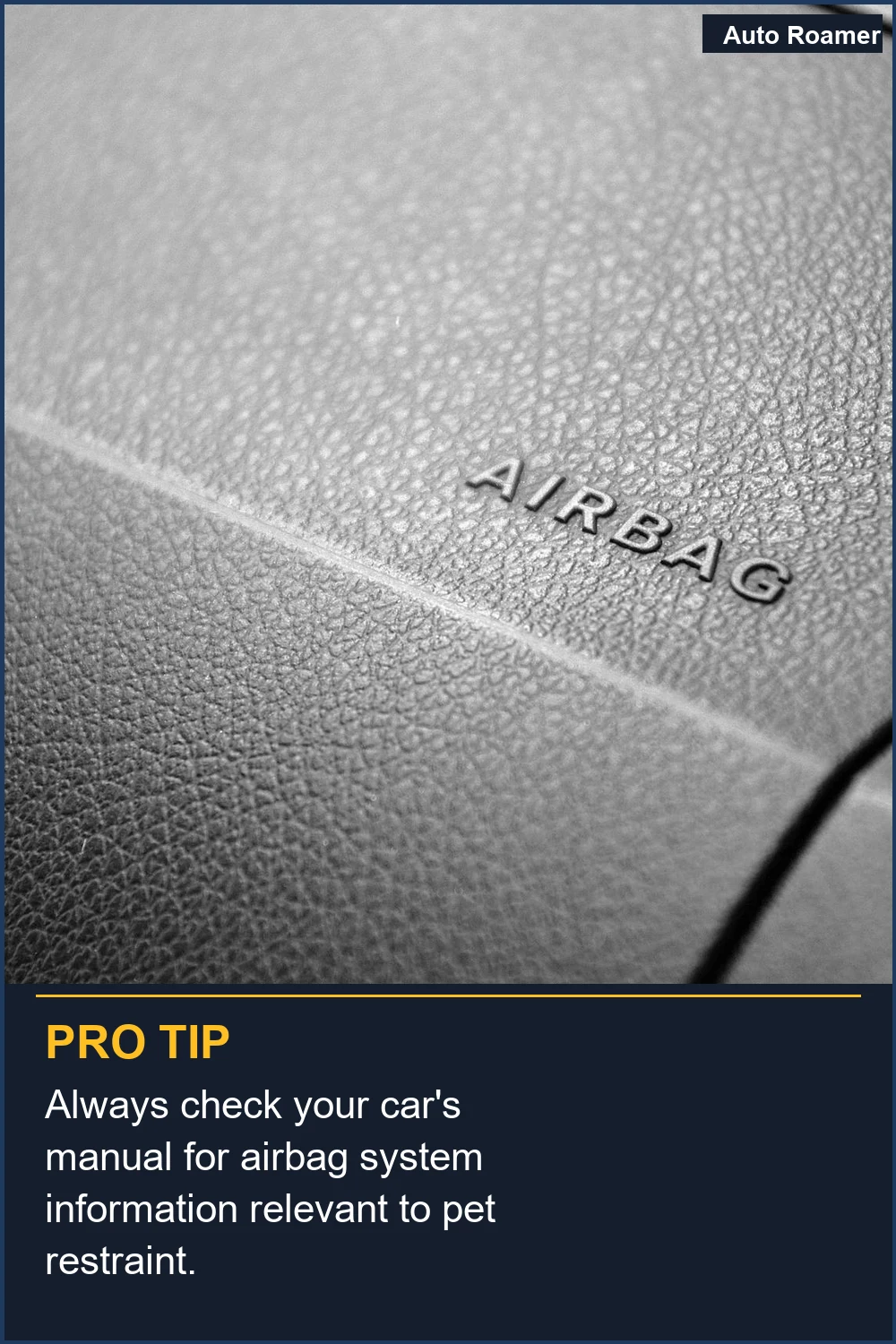 Always check your car's manual for airbag system information relevant to pet restraint.