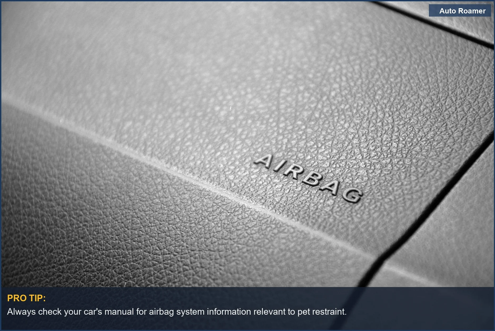 Understanding car recall safety for pets: Leather airbag label on a dashboard.