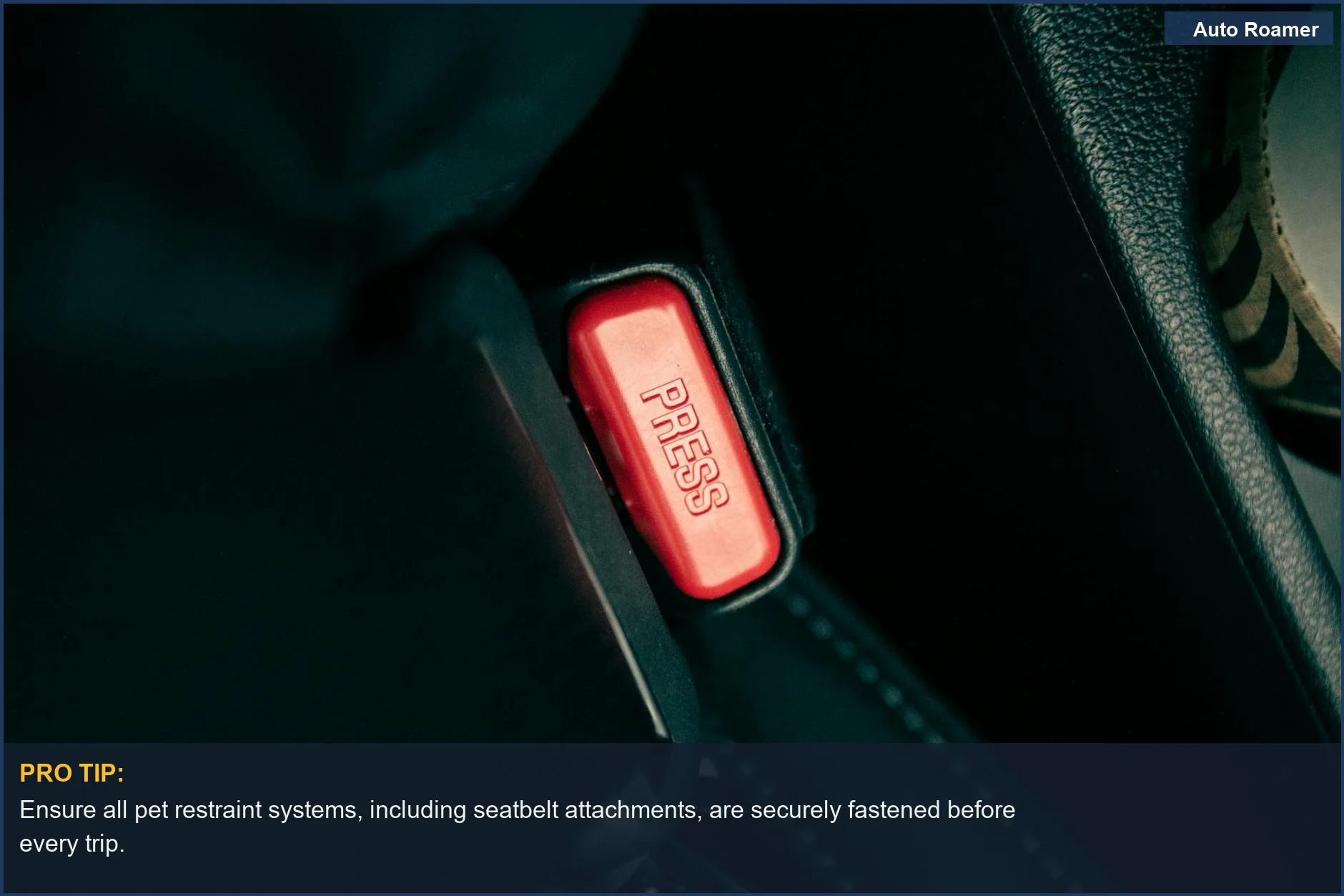 Close-up of a car seatbelt buckle, essential for understanding pet restraint recall issues.