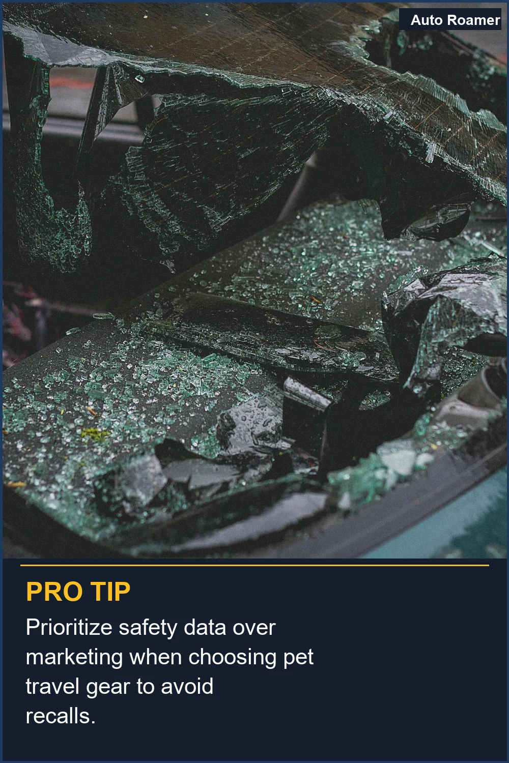 Prioritize safety data over marketing when choosing pet travel gear to avoid recalls.