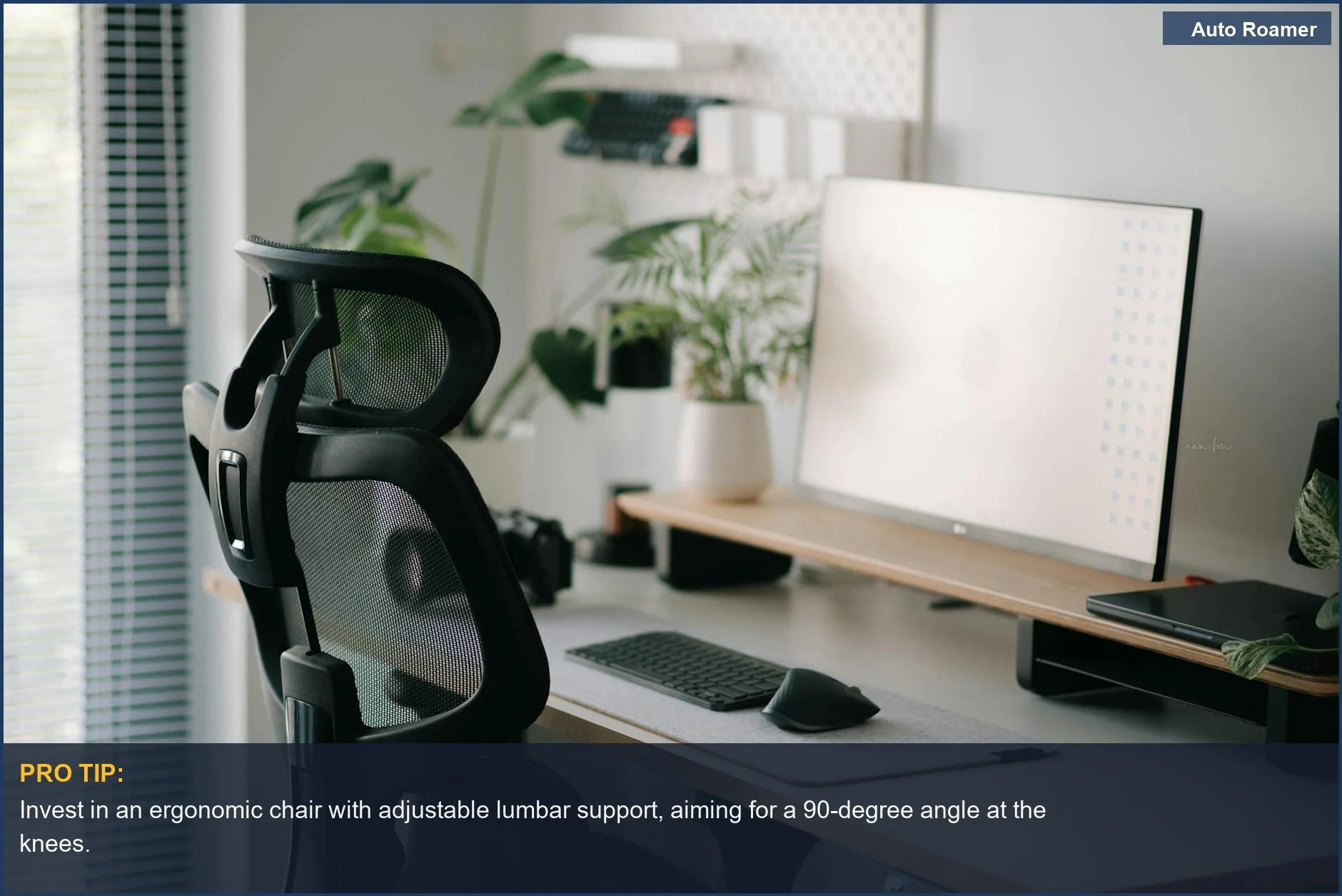 Silla ergonómica para oficina en casa con plantas, ideal para comodidad a largo plazo y alivio del dolor de ciática.