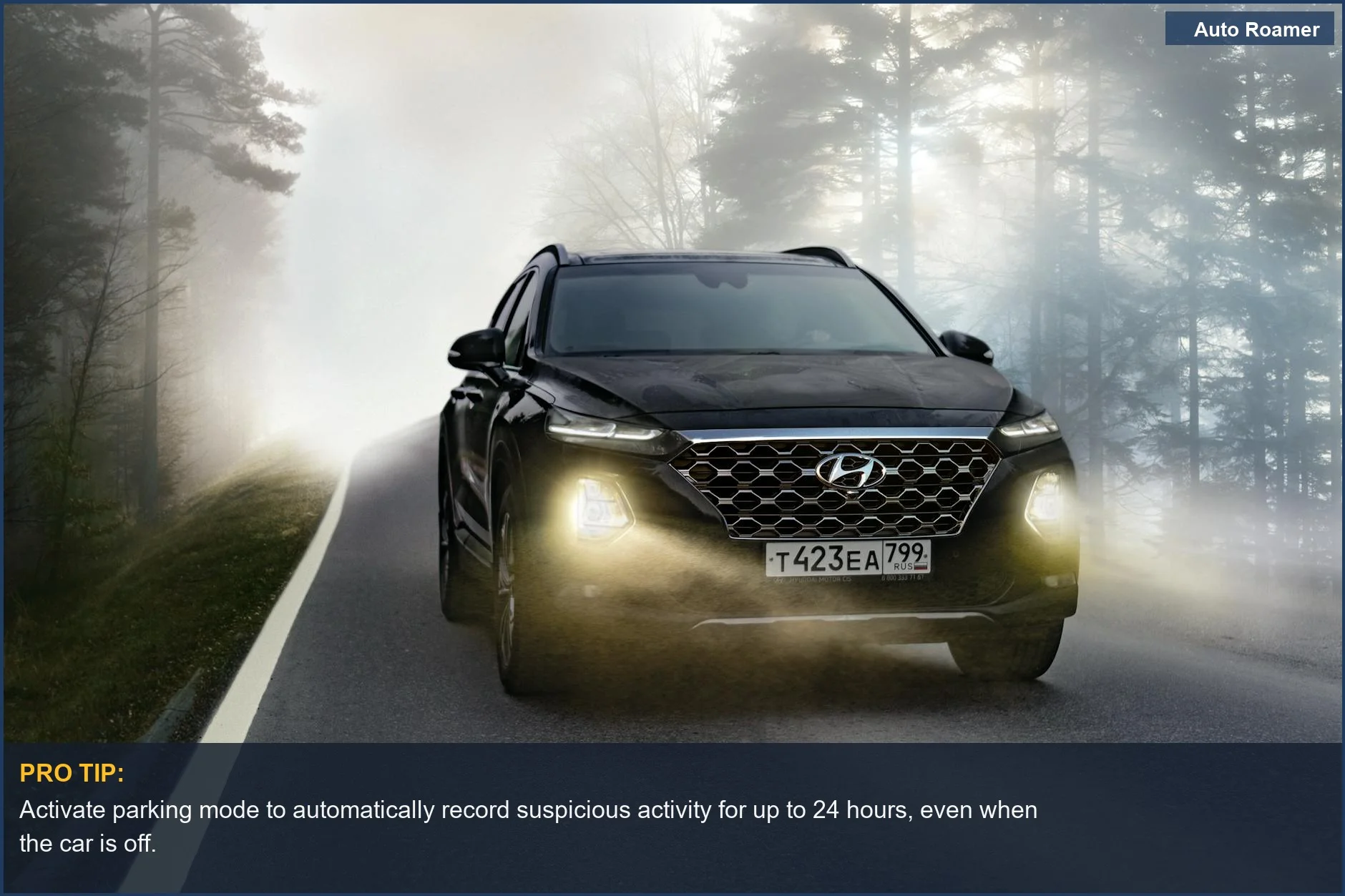 Misty forest road drive with a VIOFO dash cam recording for reliable parking mode footage.