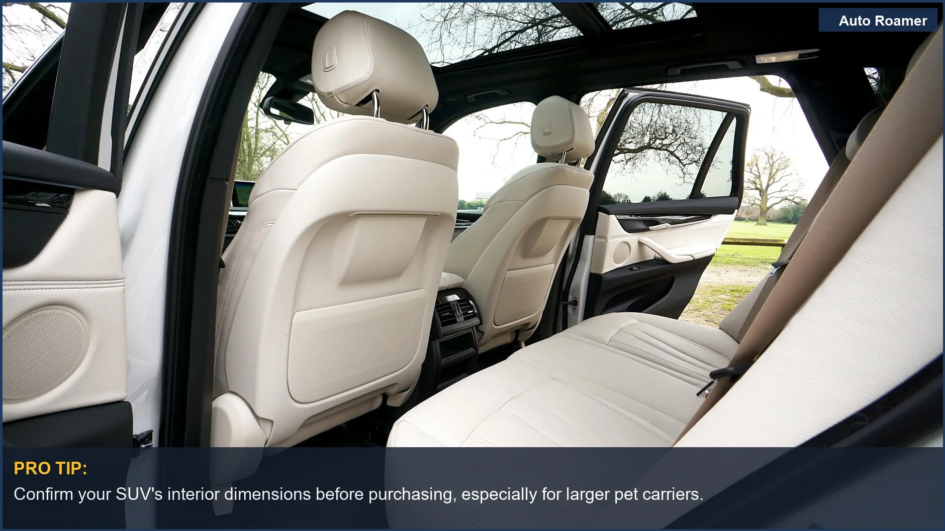 Spacious BMW SUV interior with leather seats, highlighting the need for vehicle fitment of pet travel accessories.