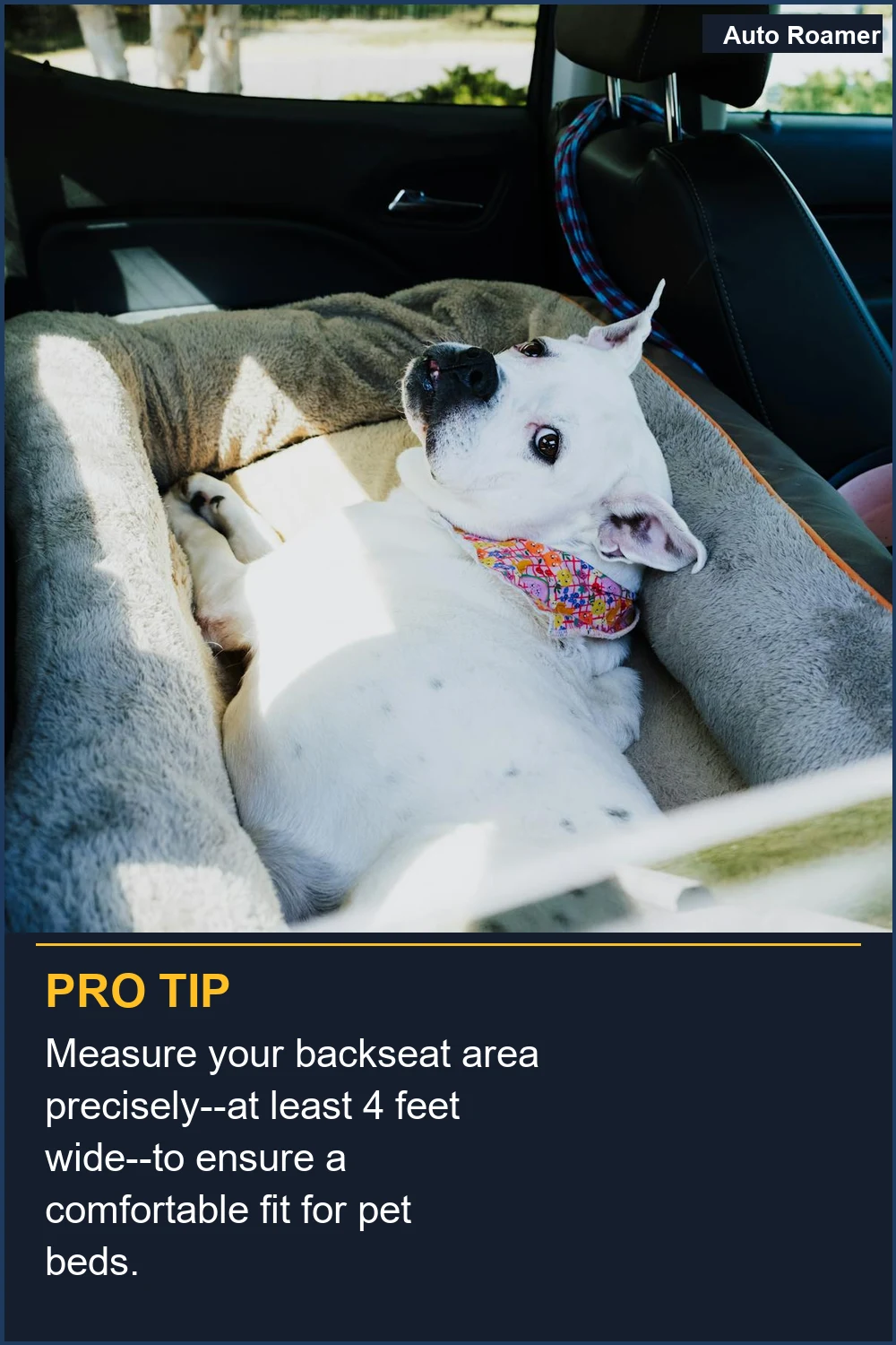 Measure your backseat area precisely--at least 4 feet wide--to ensure a comfortable fit for pet beds.