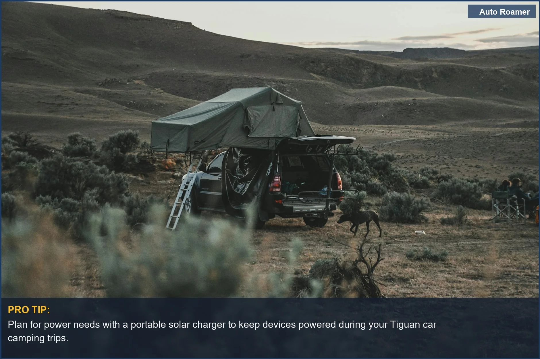 Dog enjoys wilderness dusk with a roof tent setup on an SUV.