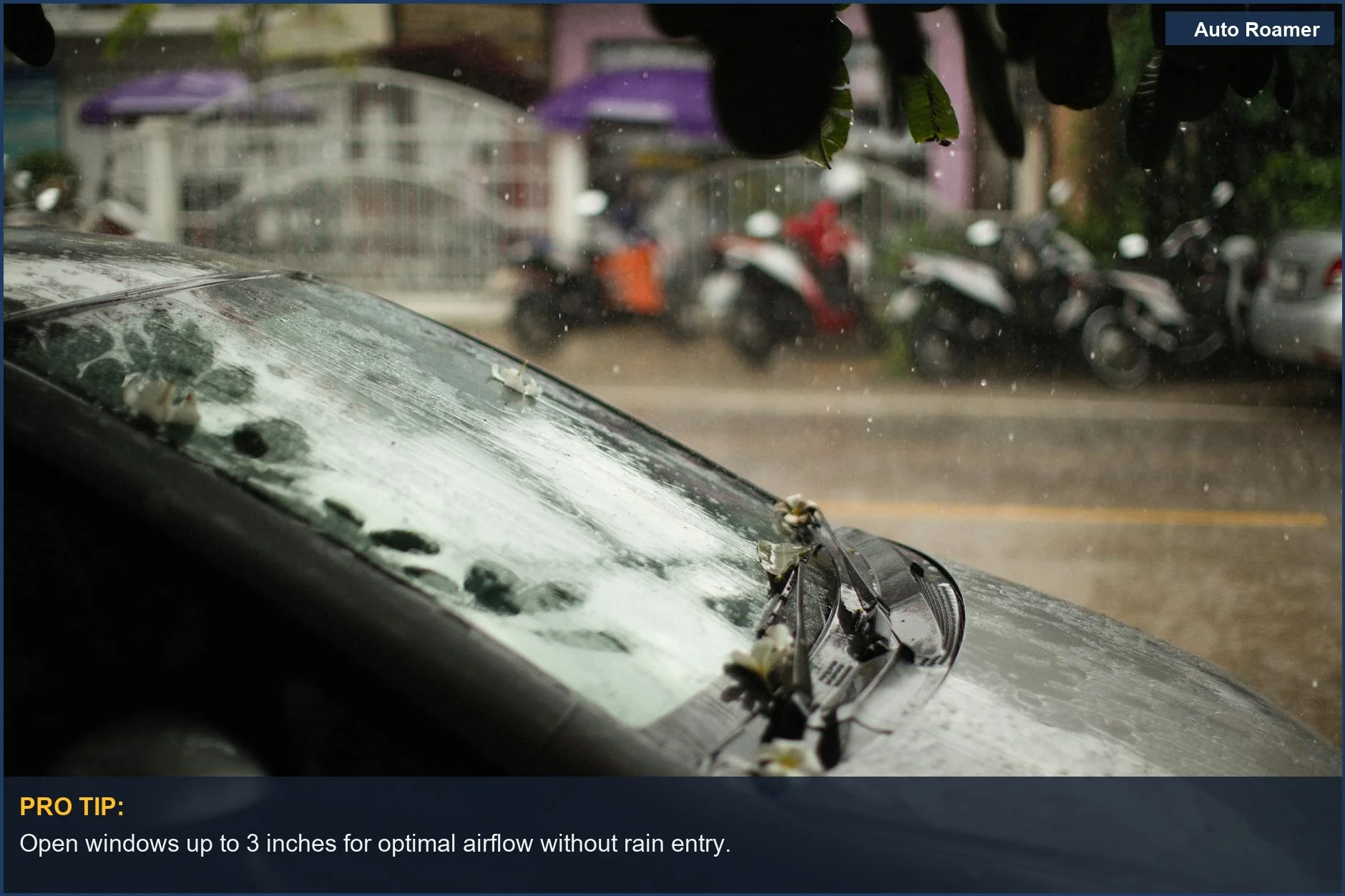 Close-up of raindrops on a black car windshield, illustrating the challenge rain guards solve.