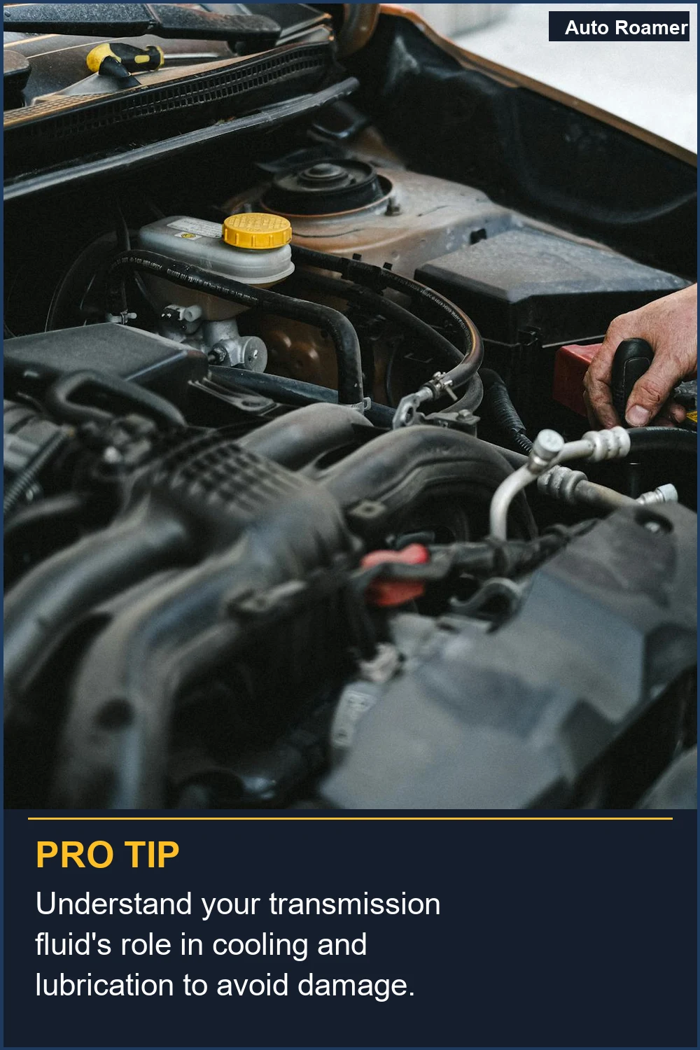 Understand your transmission fluid's role in cooling and lubrication to avoid damage.