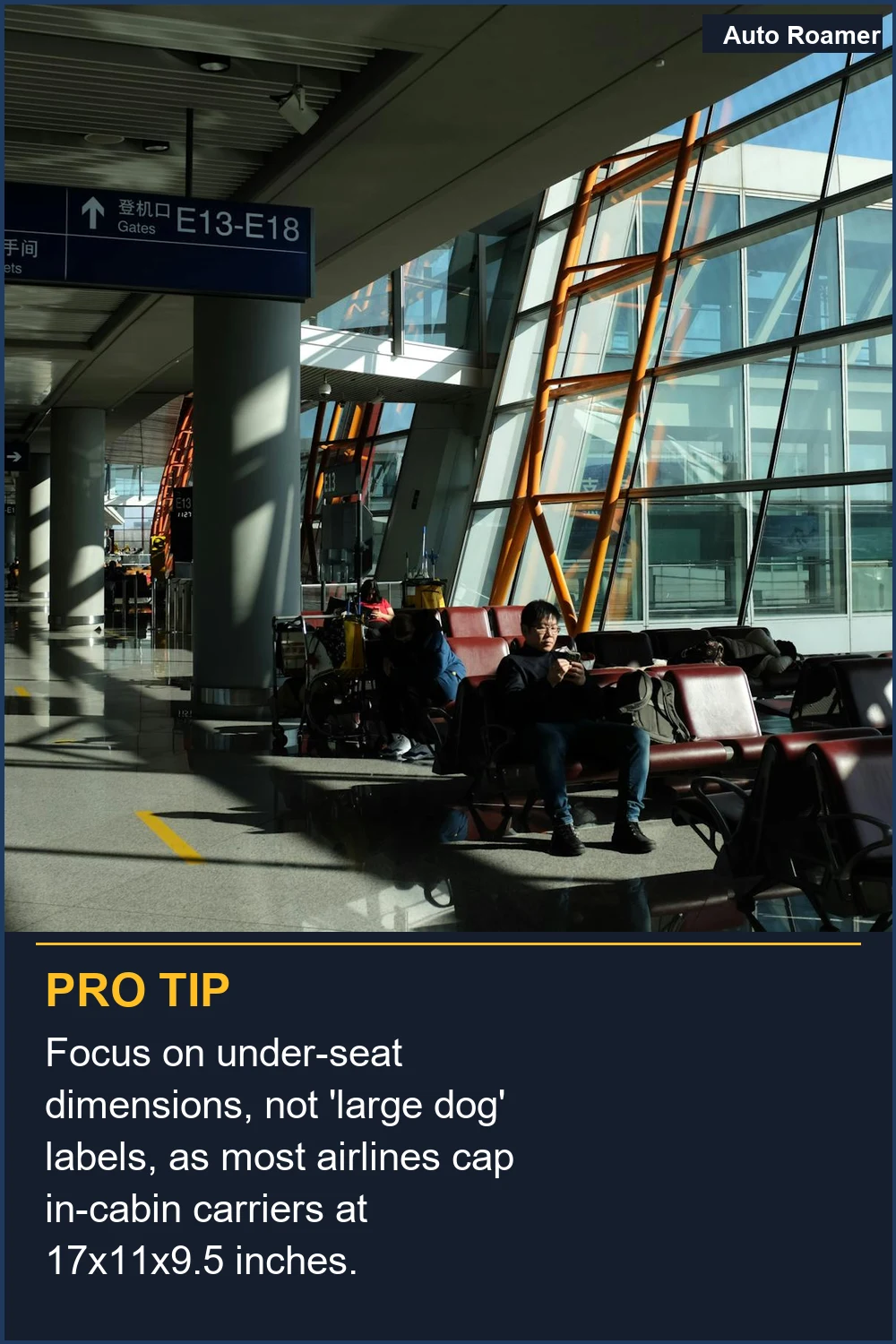 Focus on under-seat dimensions, not 'large dog' labels, as most airlines cap in-cabin carriers at 17x11x9.5 inches.