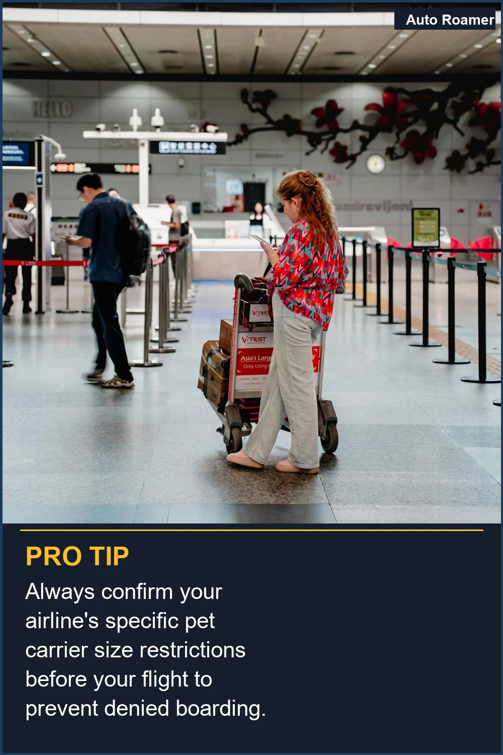 Always confirm your airline's specific pet carrier size restrictions before your flight to prevent denied boarding.